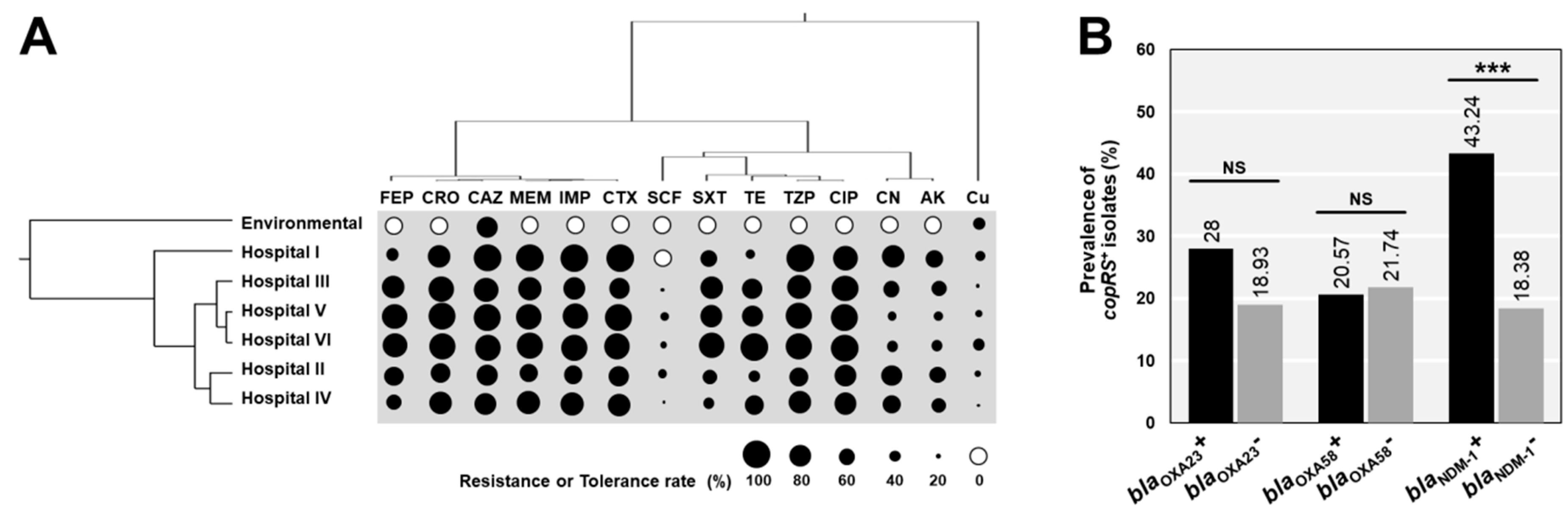 Pathogens 09 00060 g001
