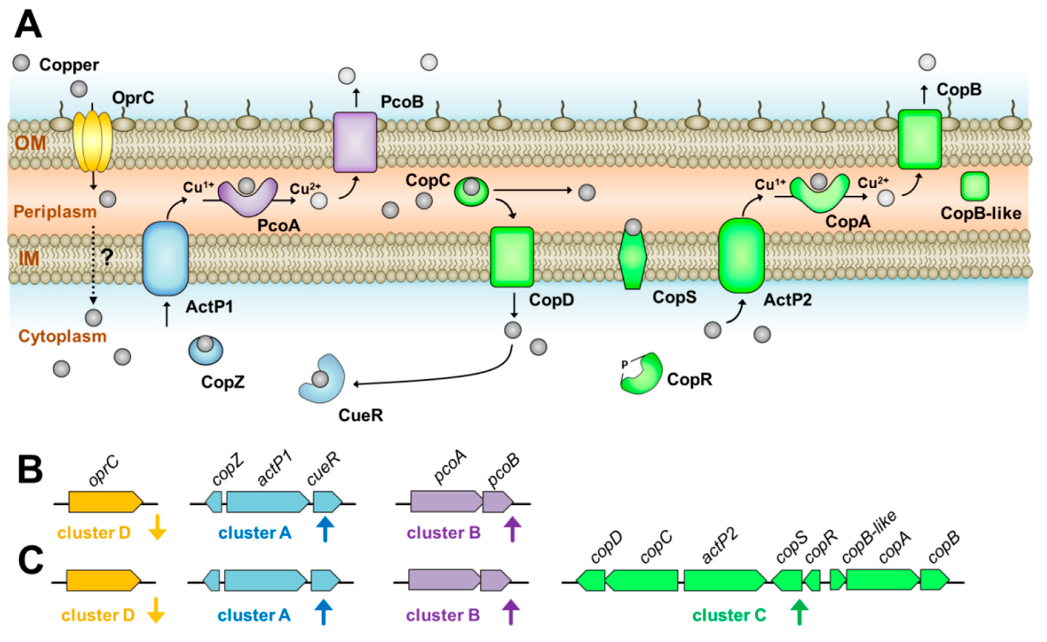 Pathogens 09 00060 g005