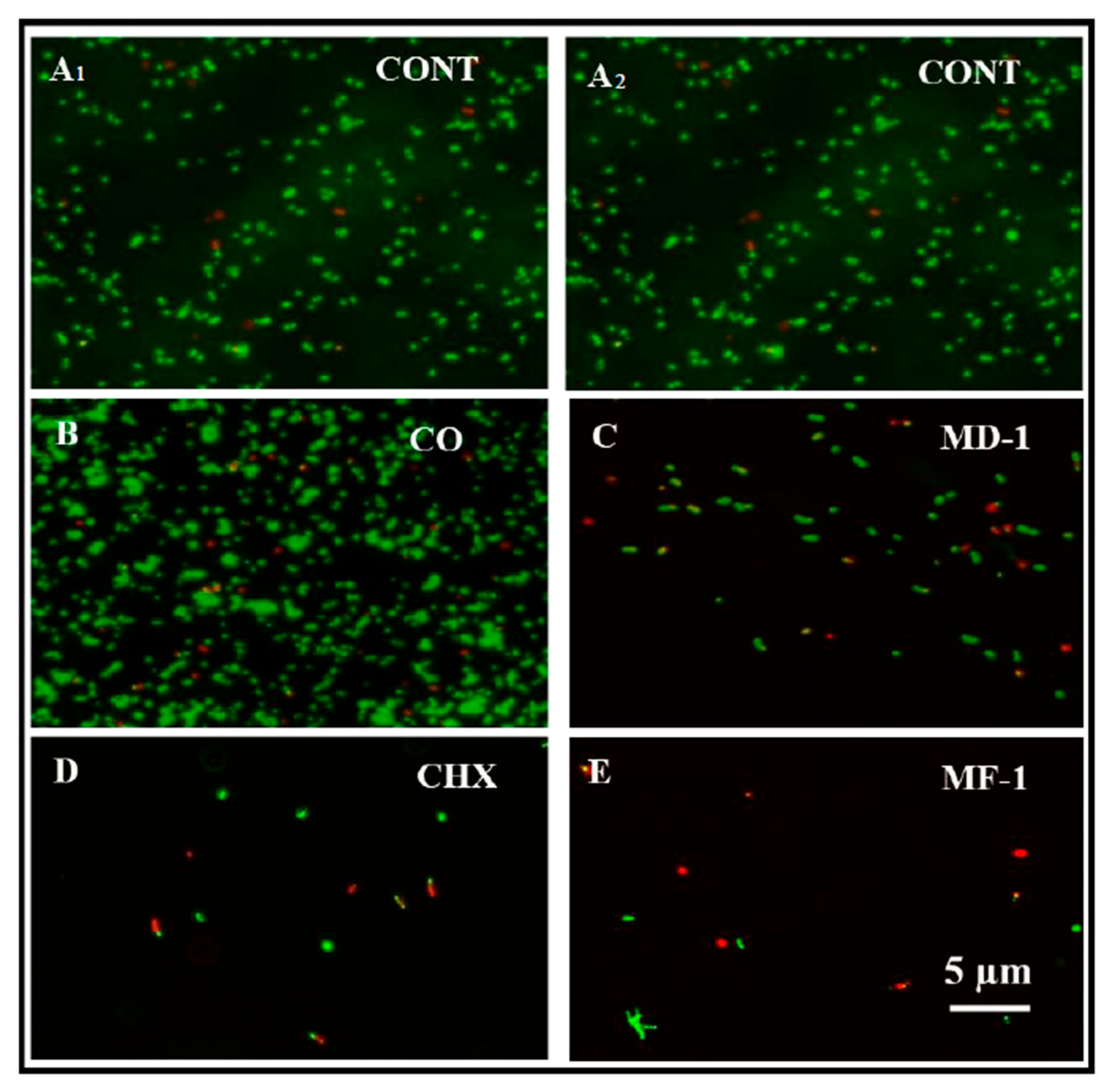Pathogens 09 00066 g006 Pathogens 09 00066 g006