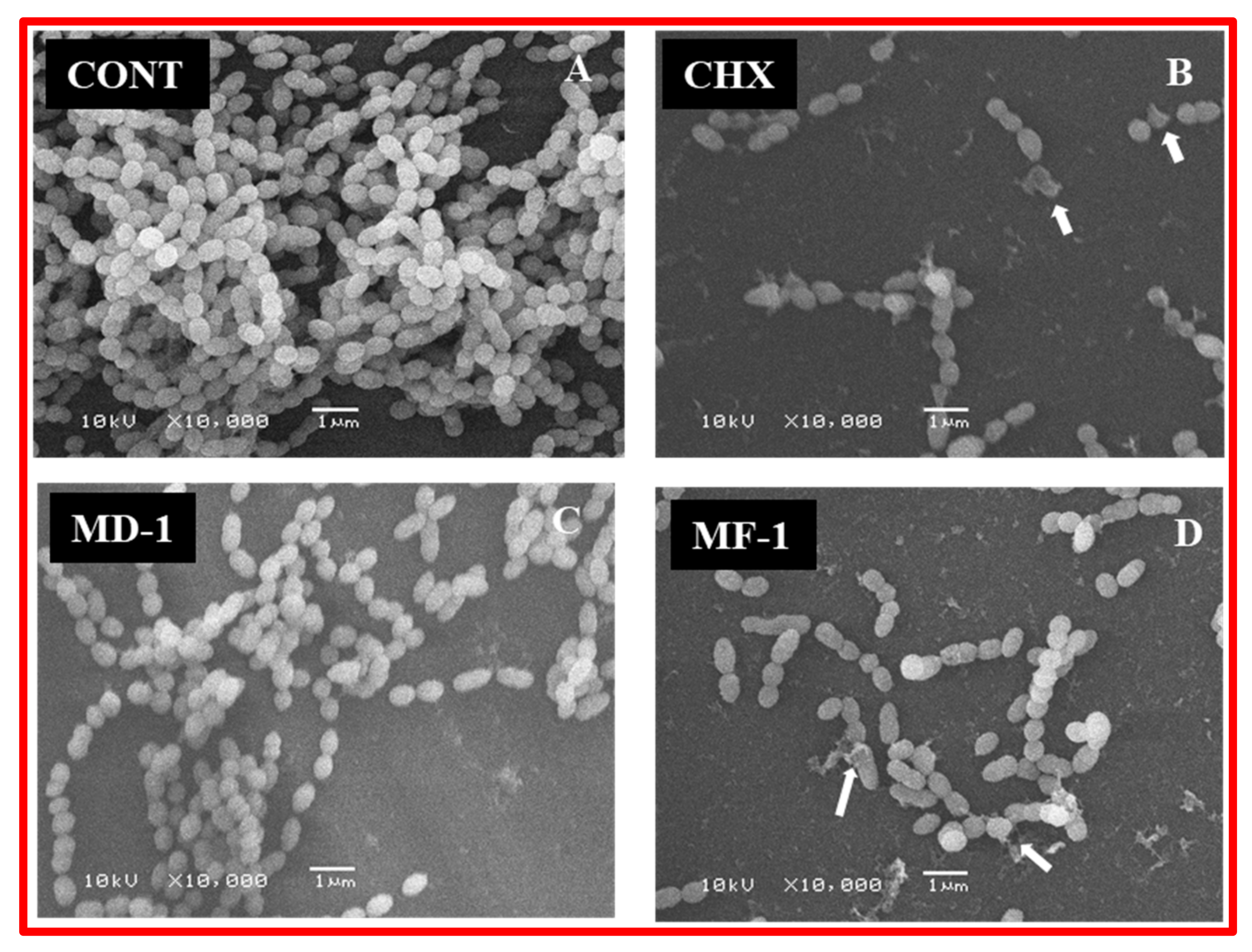 Pathogens 09 00066 g008 Pathogens 09 00066 g008