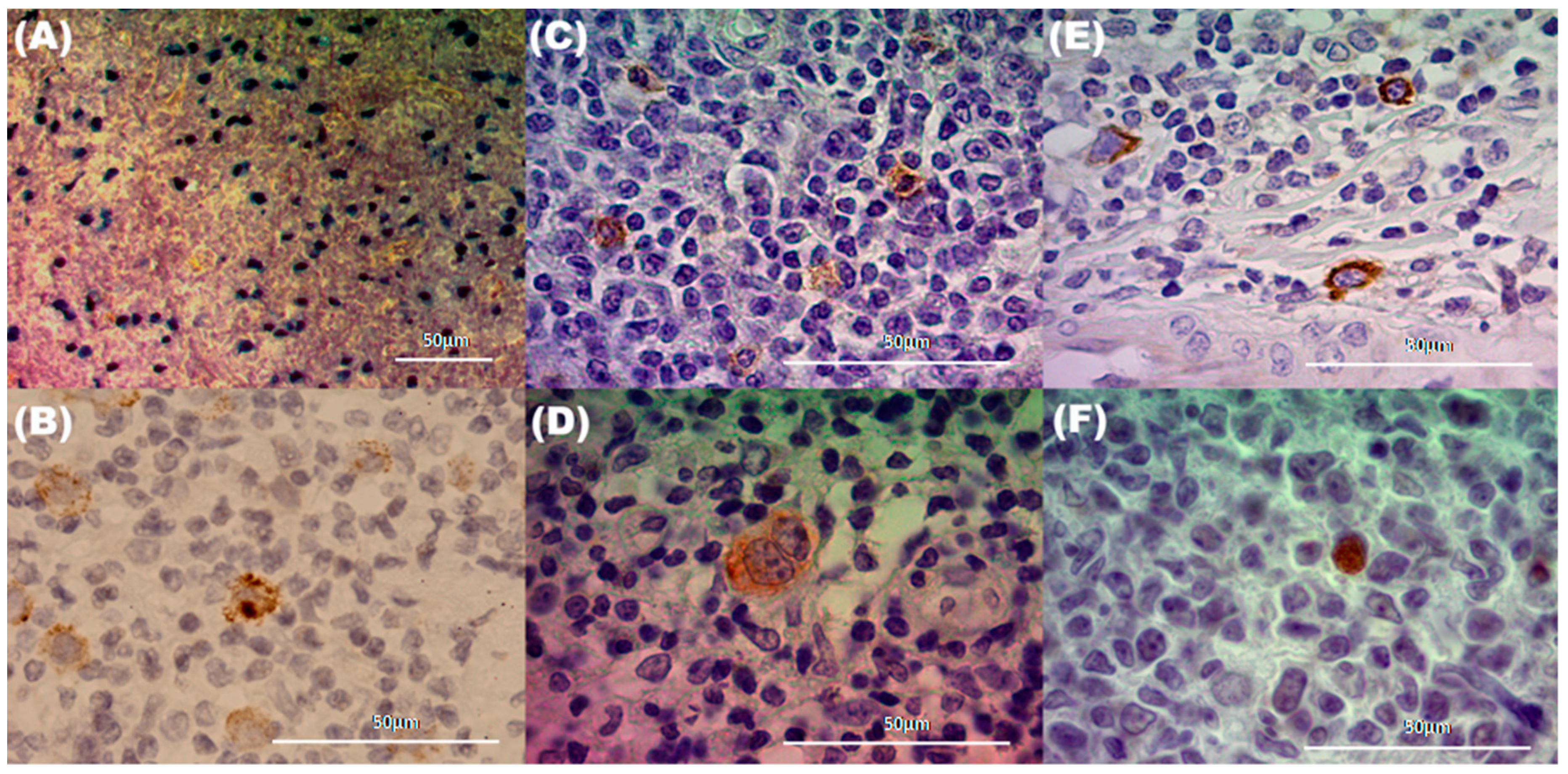 Pathogens 09 00068 g001