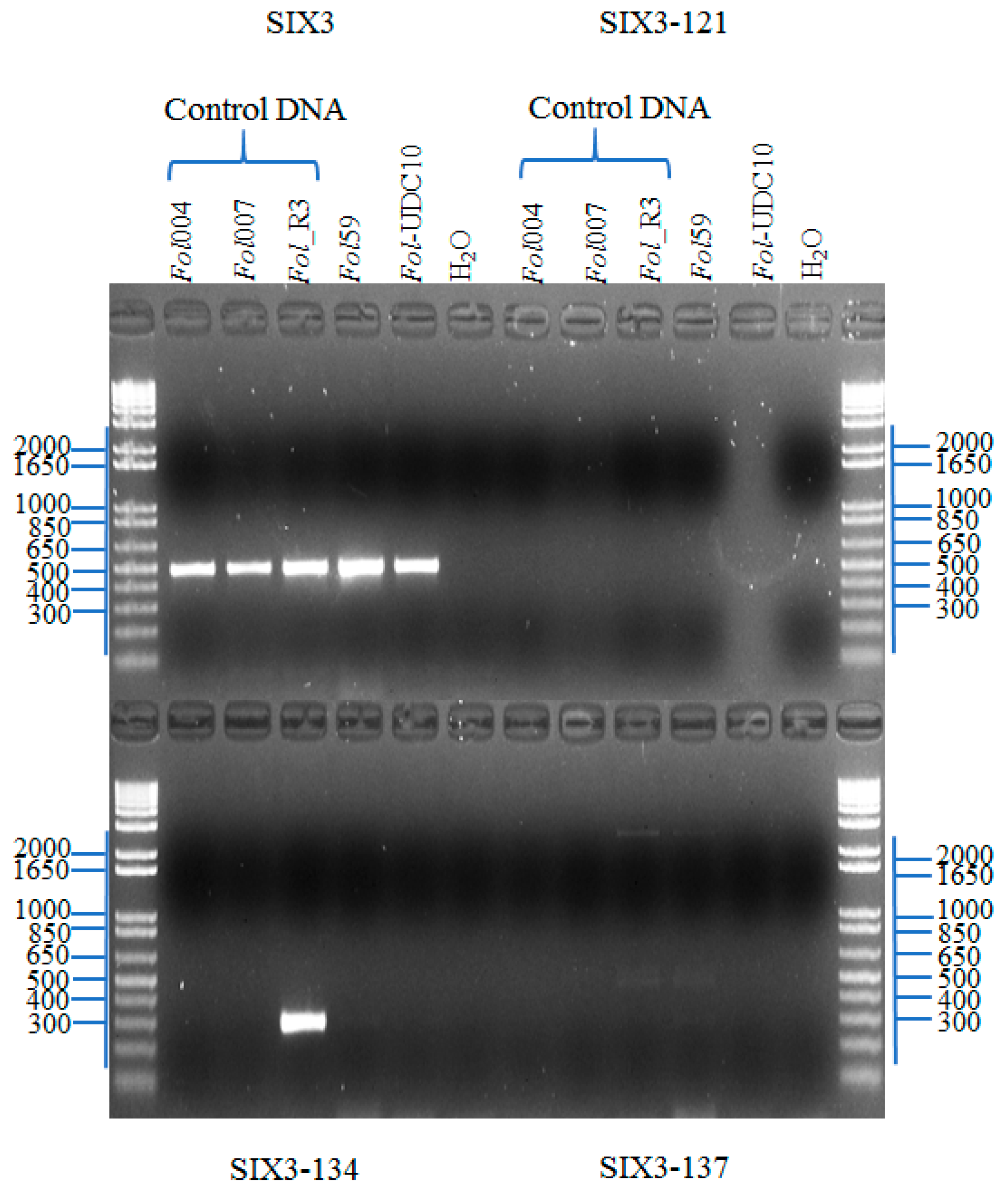 Pathogens 09 00070 g004 Pathogens 09 00070 g004