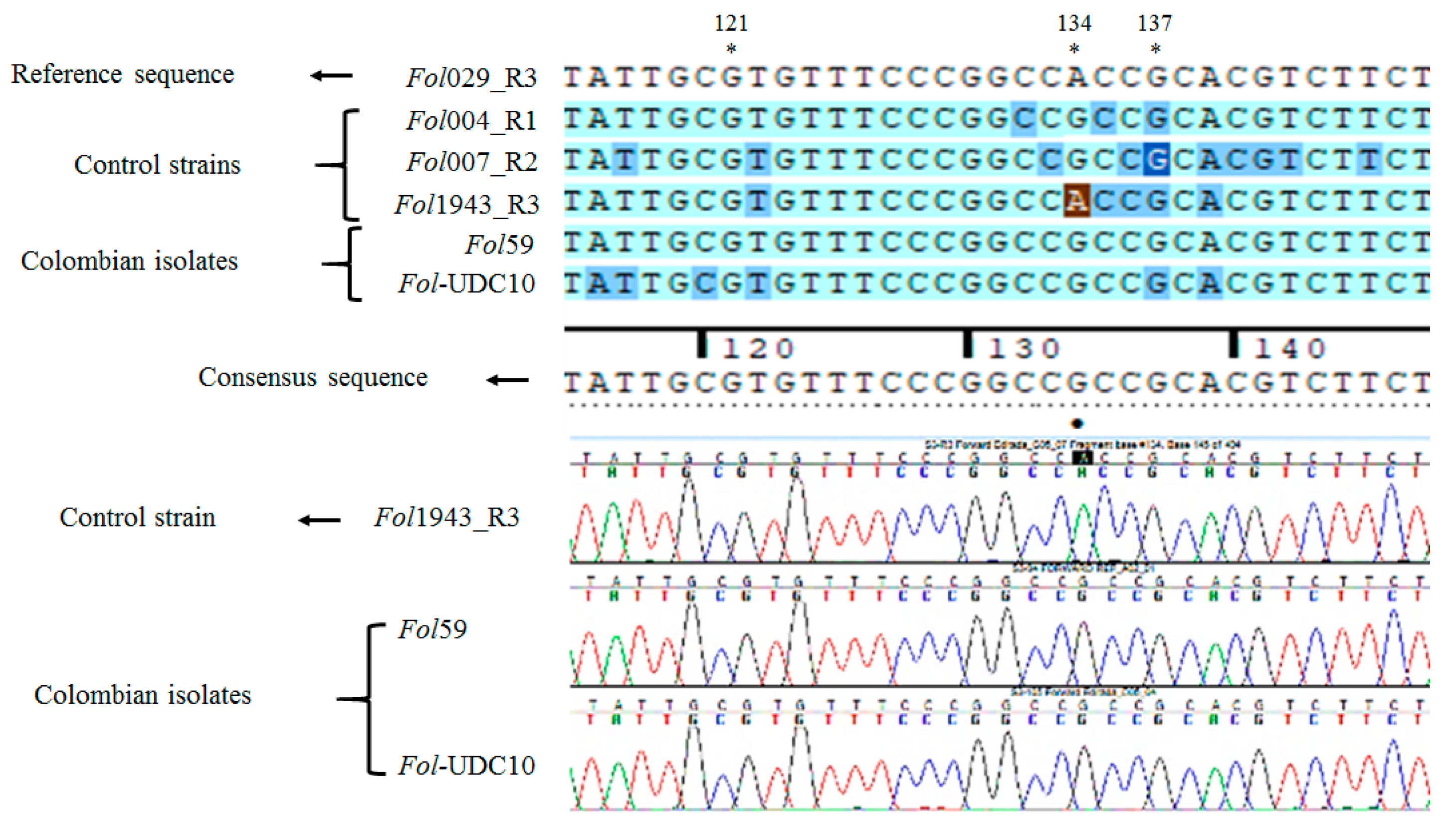 Pathogens 09 00070 g005 Pathogens 09 00070 g005