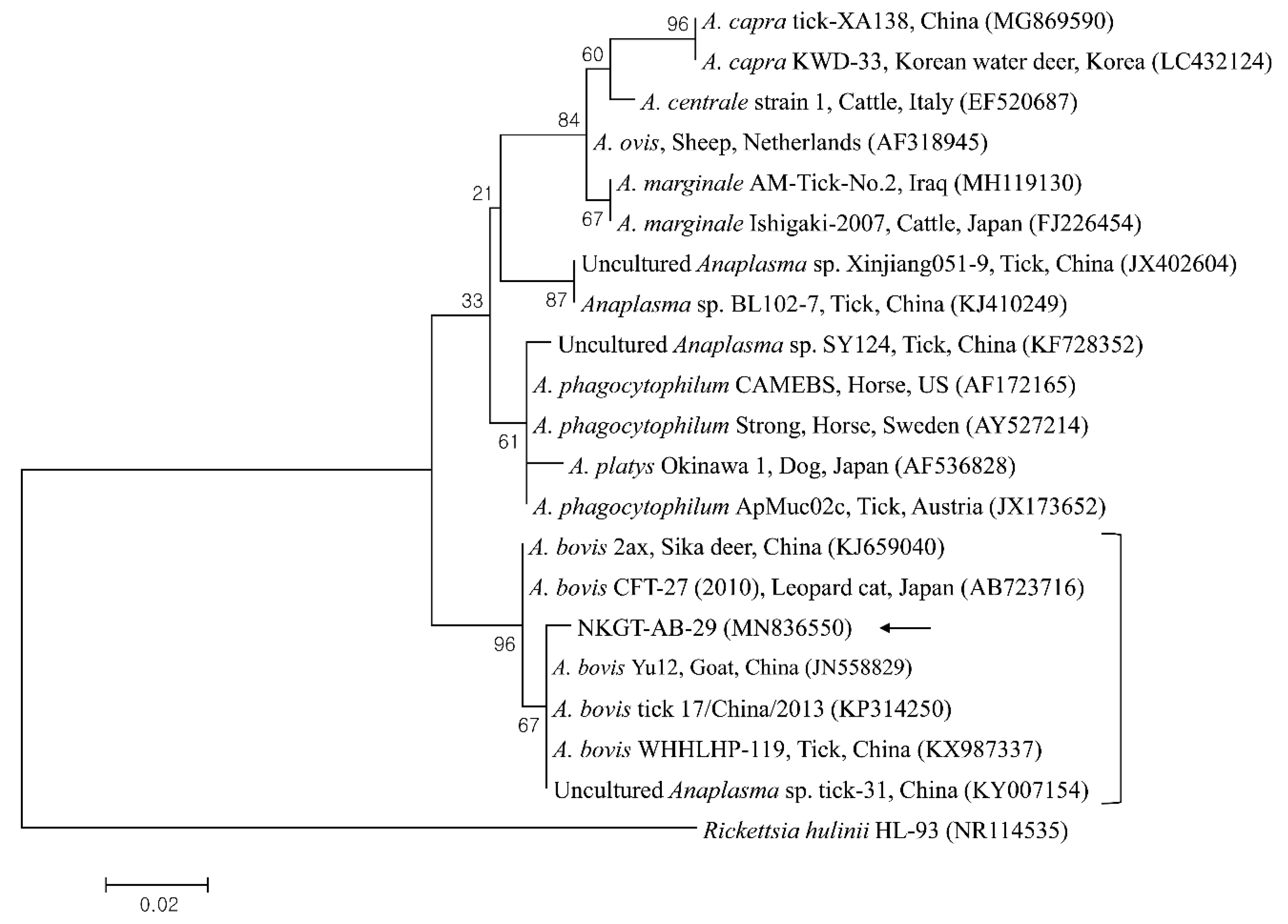 Pathogens 09 00071 g002