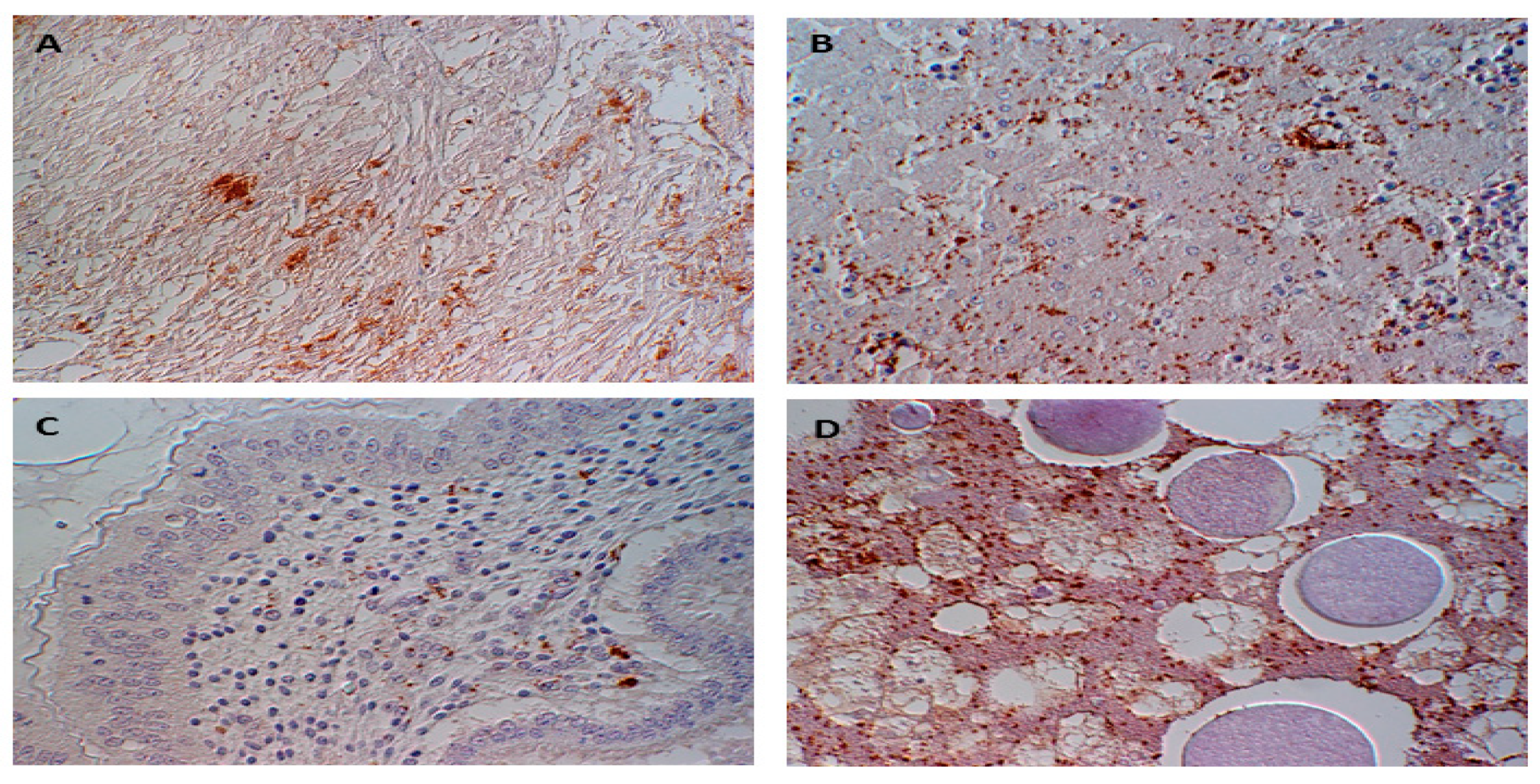 Pathogens 09 00077 g002 Pathogens 09 00077 g002