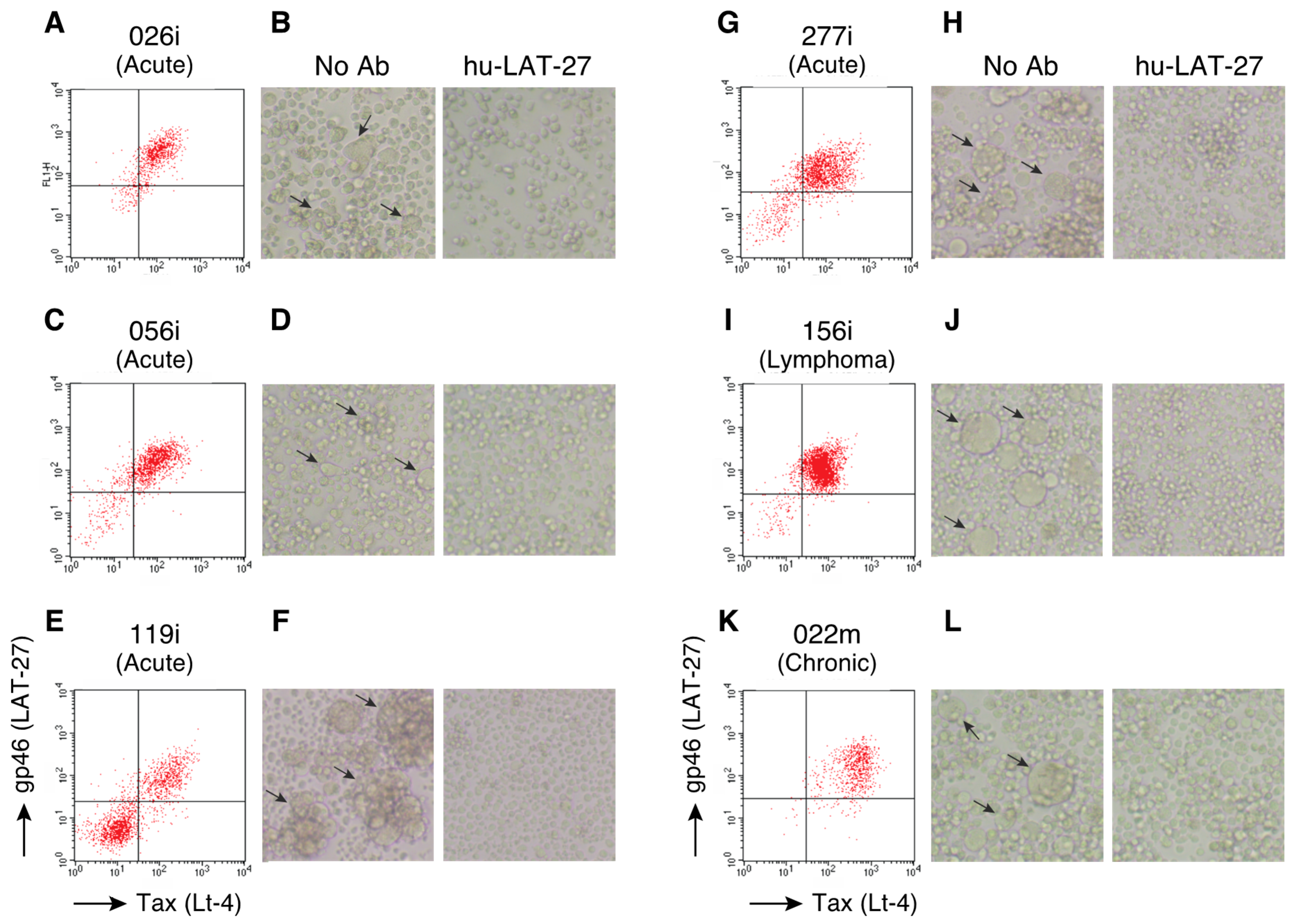 Pathogens 09 00082 g002
