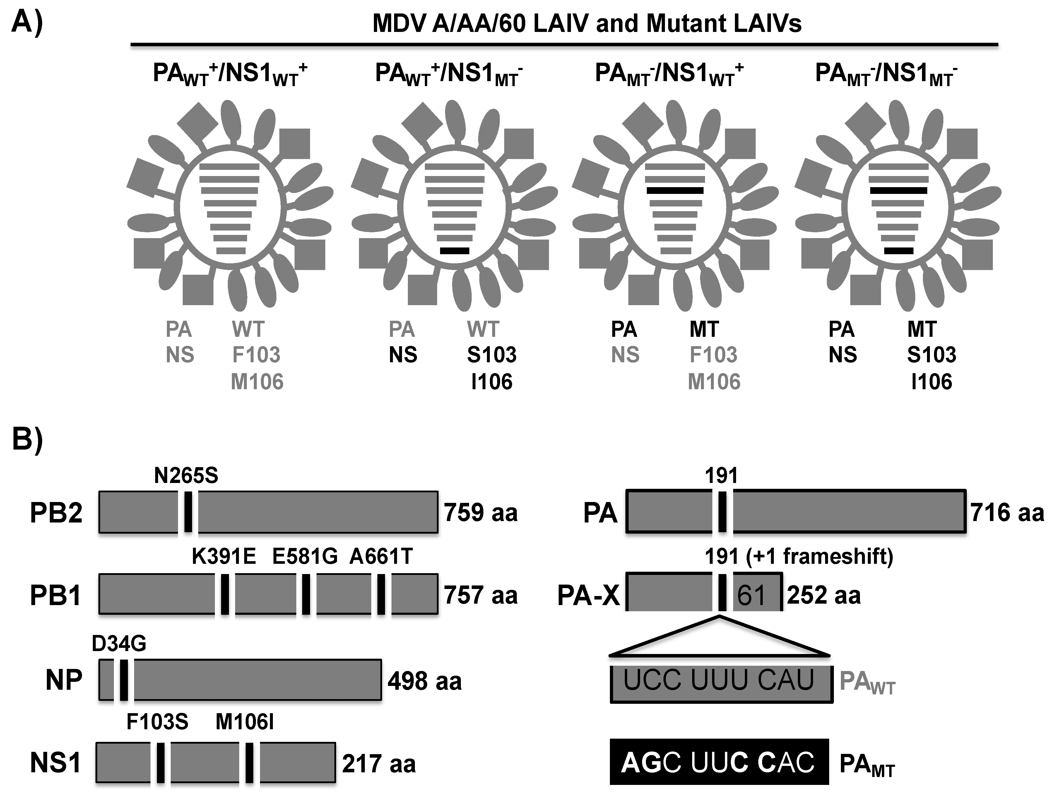 Pathogens 09 00086 g003