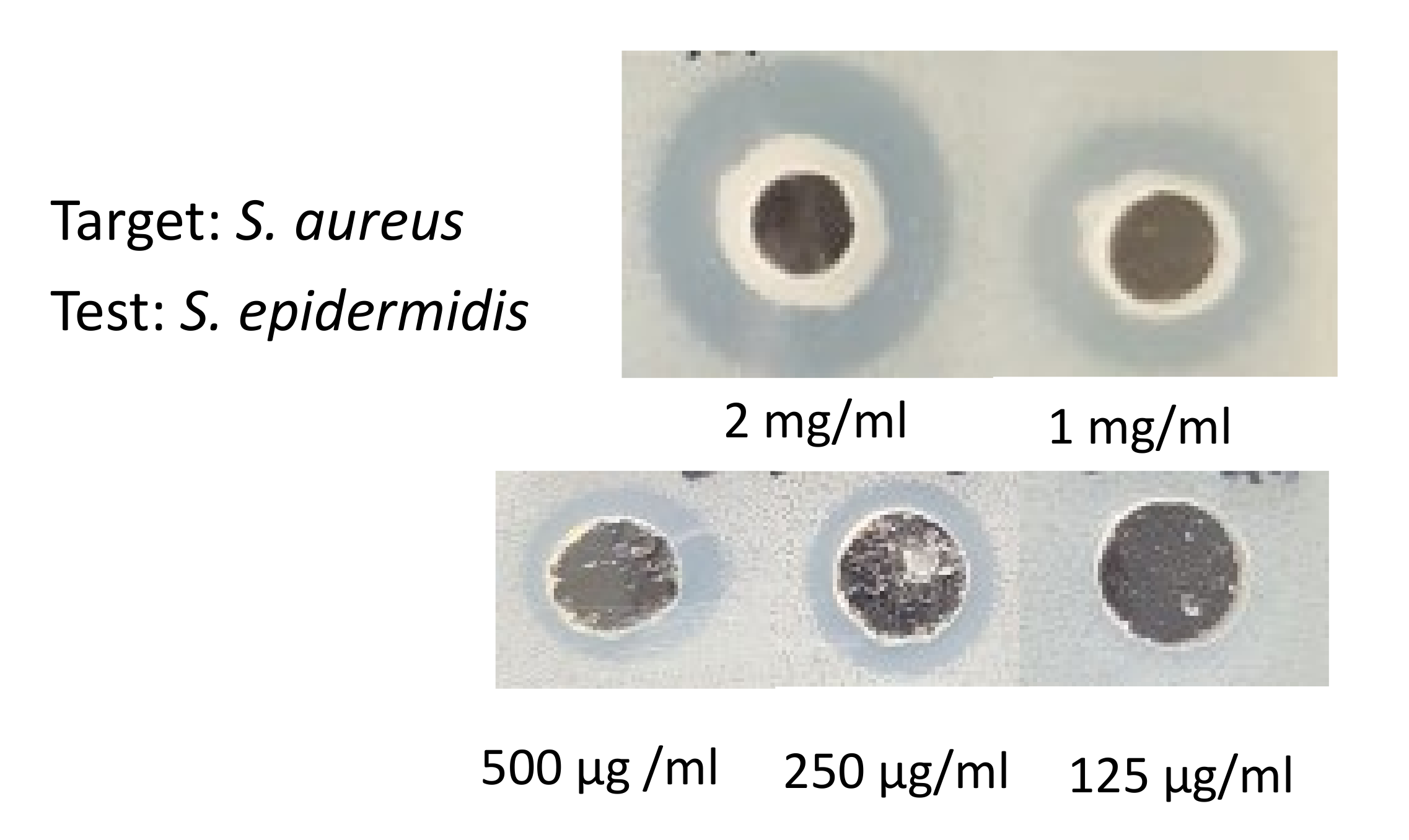 Pathogens 09 00087 g004 Pathogens 09 00087 g004