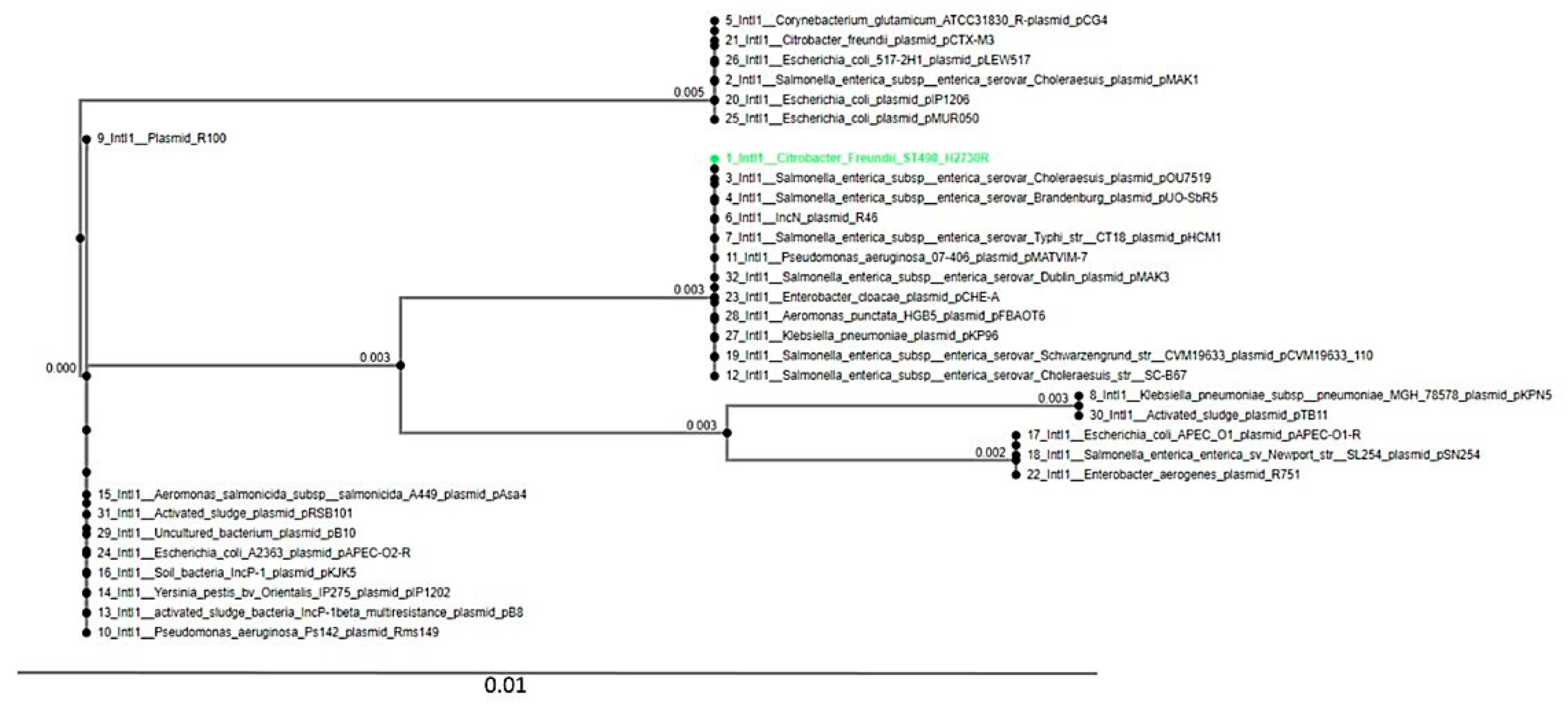 Pathogens 09 00089 g001 Pathogens 09 00089 g001
