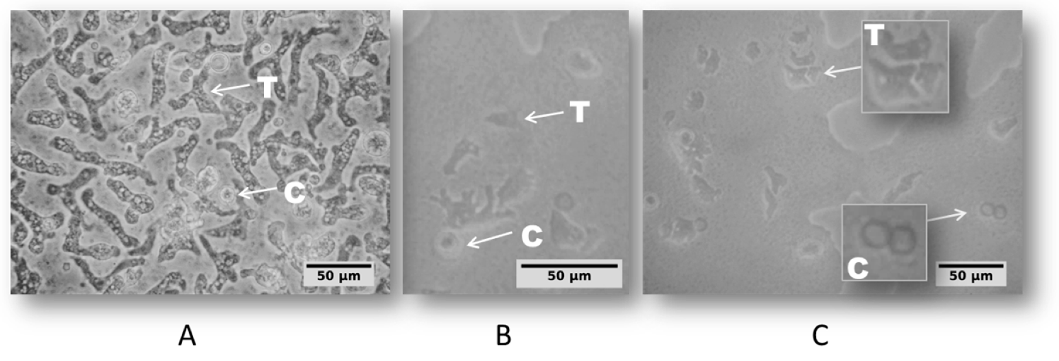 Pathogens 09 00090 g002