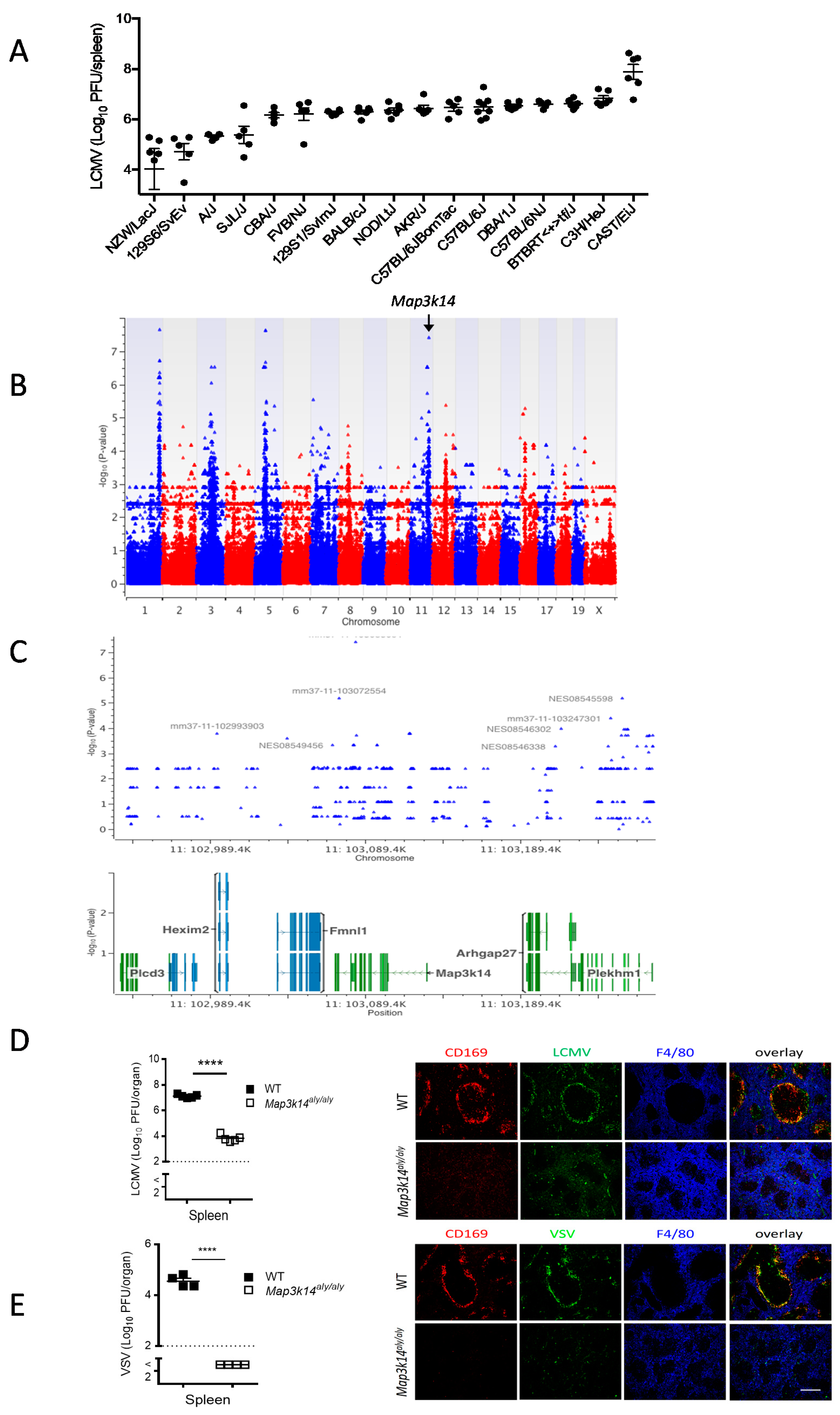 Pathogens 09 00096 g001 Pathogens 09 00096 g001