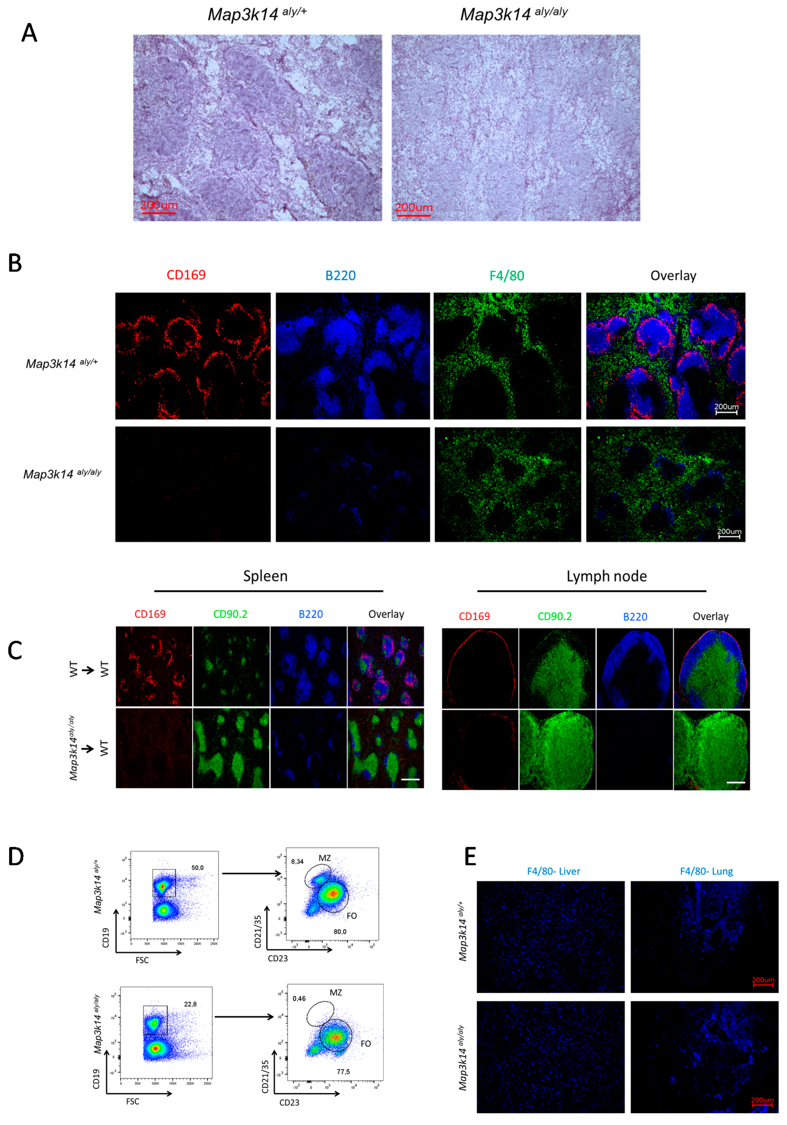 Pathogens 09 00096 g003 Pathogens 09 00096 g003