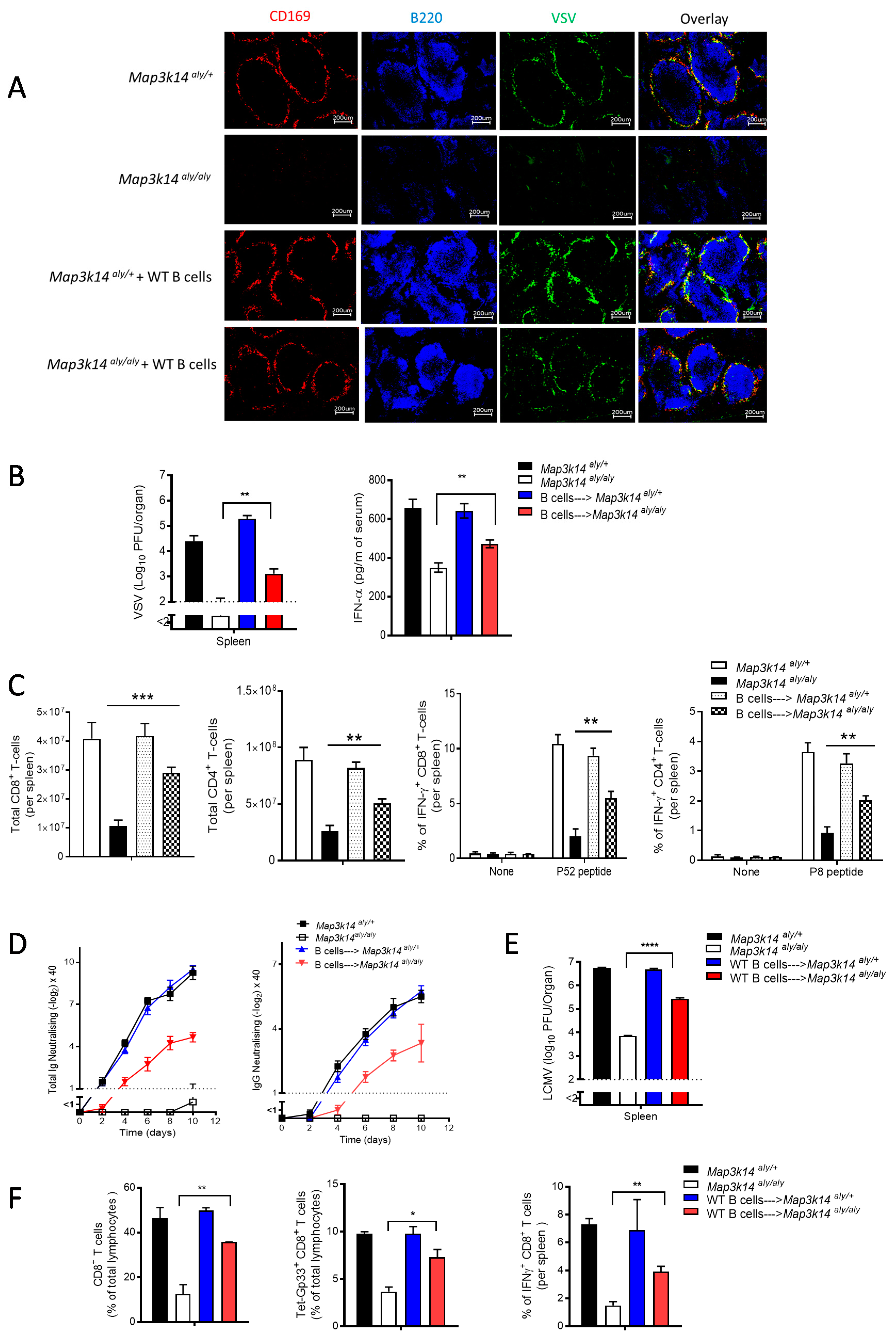 Pathogens 09 00096 g004 Pathogens 09 00096 g004