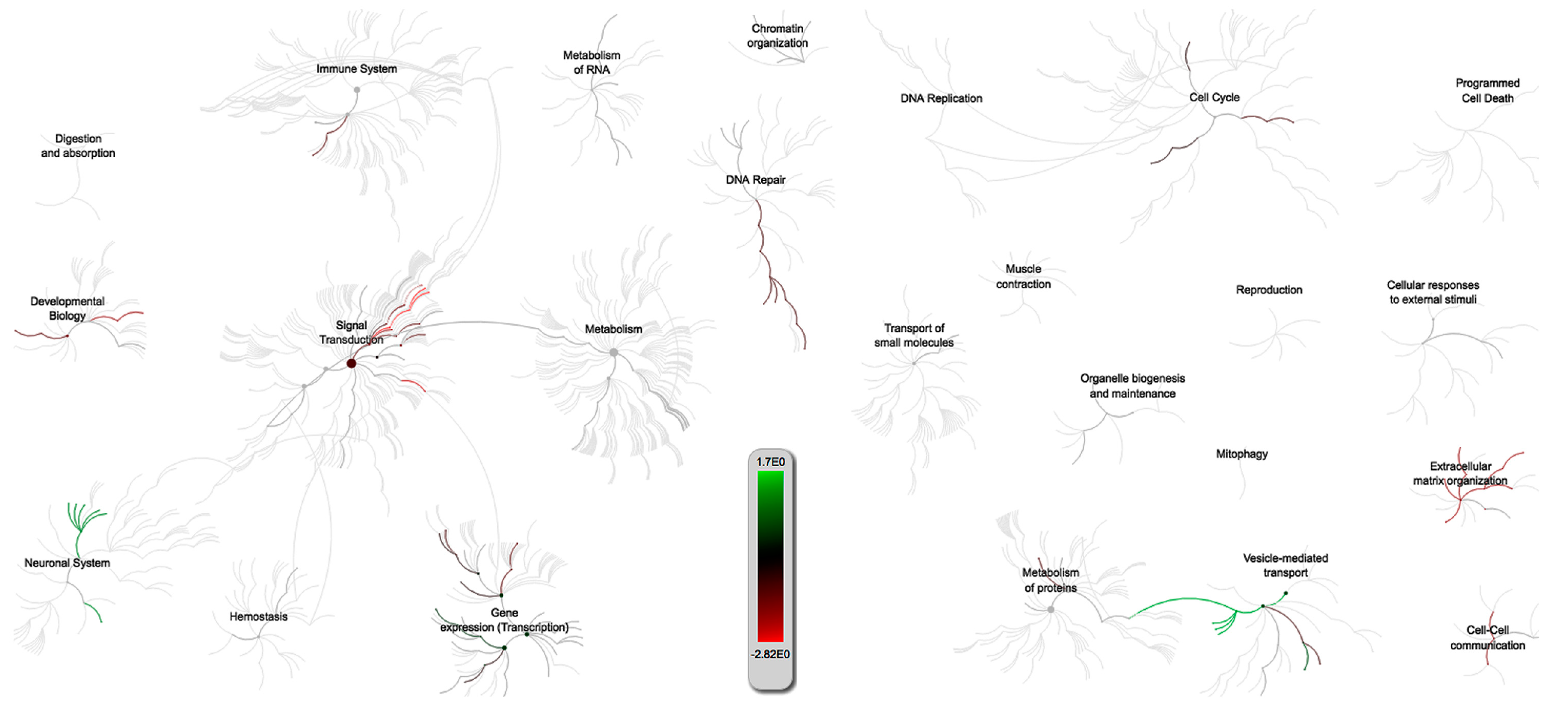 Pathogens 09 00099 g003