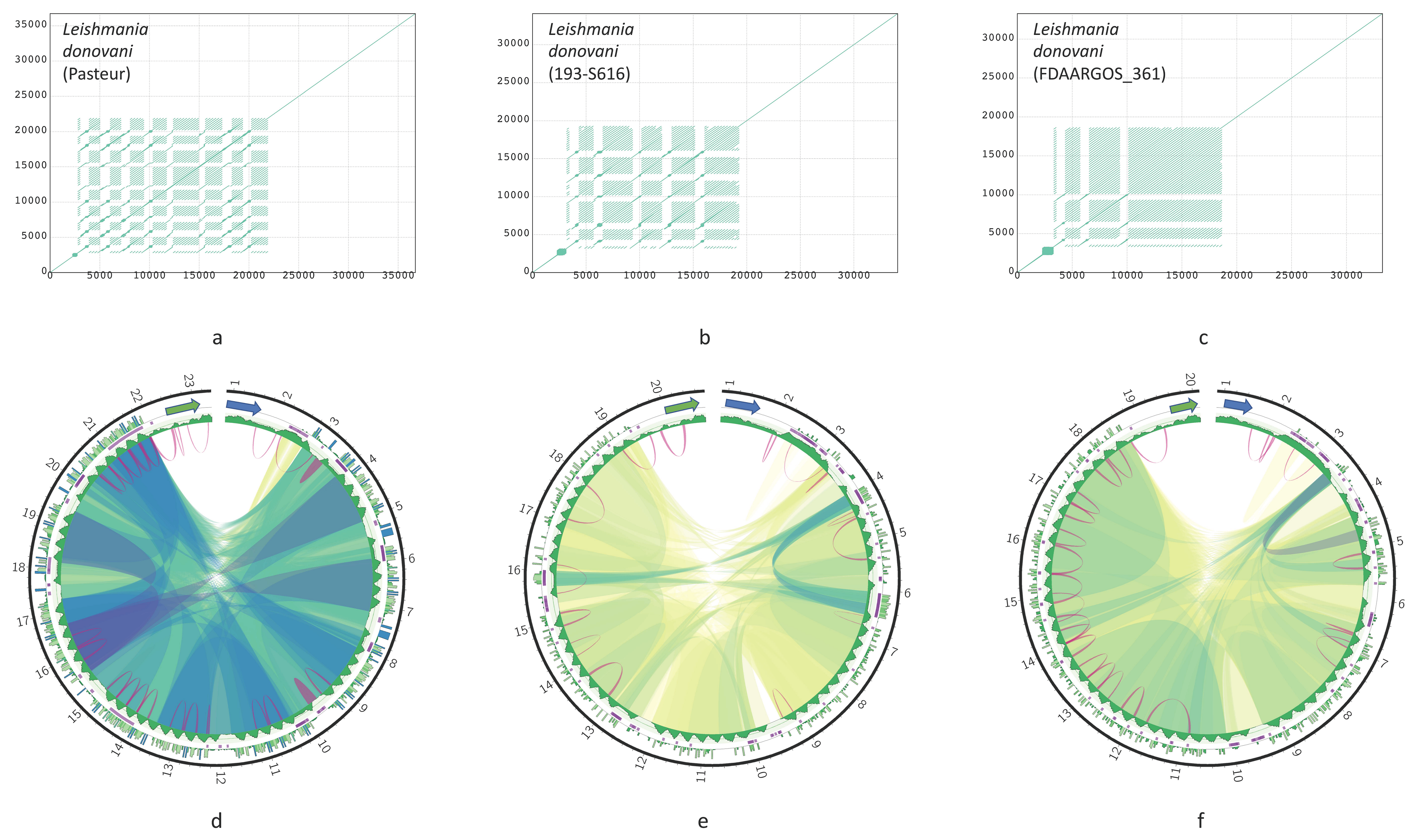 Pathogens 09 00100 g005