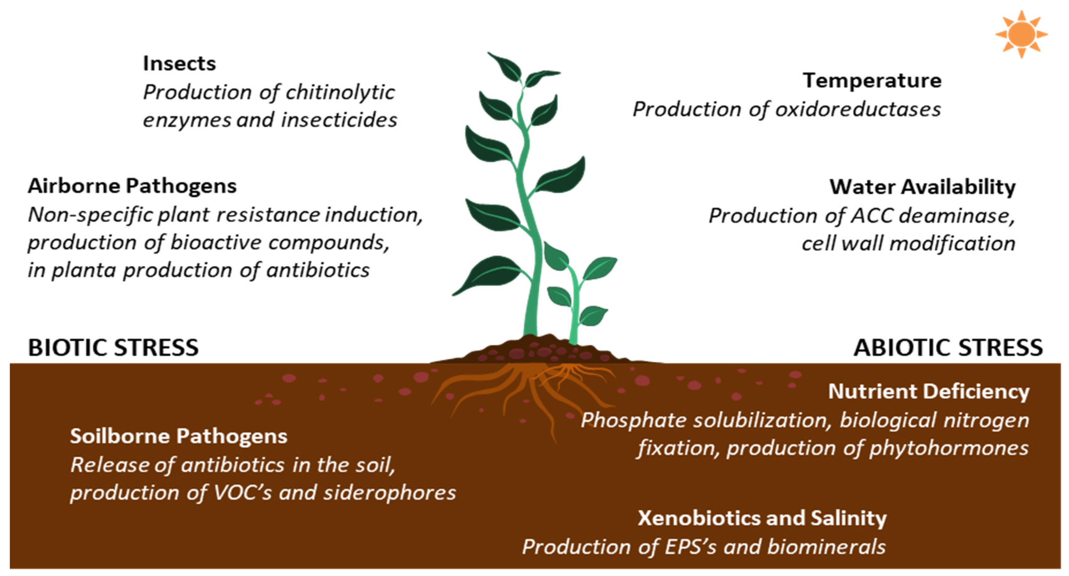 Pathogens 09 00117 g005 Pathogens 09 00117 g005