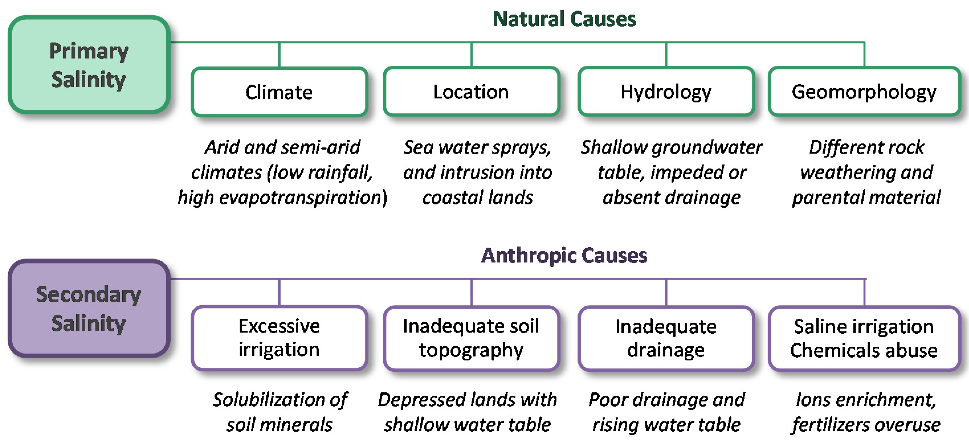 Pathogens 09 00117 g006 Pathogens 09 00117 g006