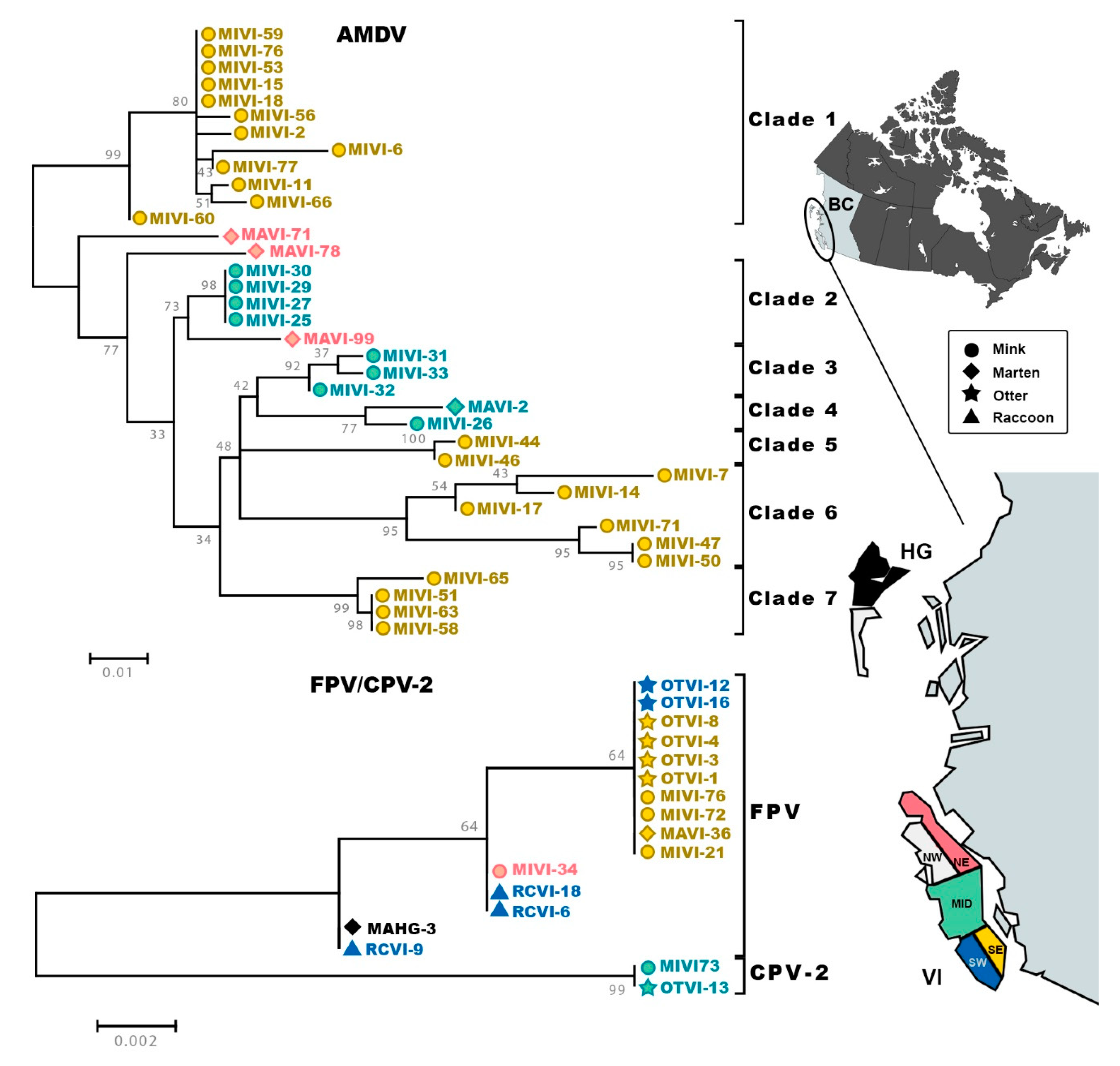 Pathogens 09 00124 g001 Pathogens 09 00124 g001