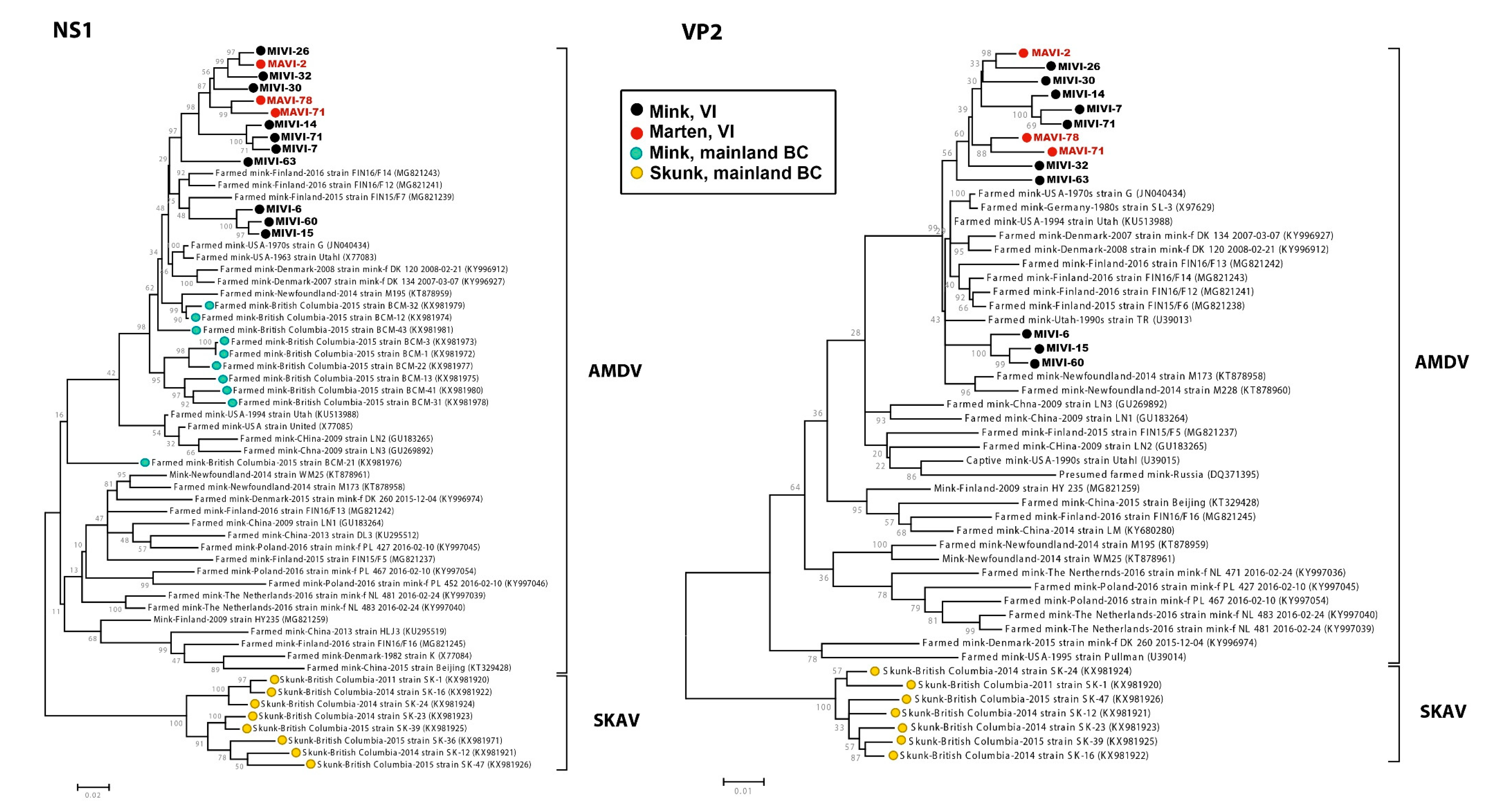 Pathogens 09 00124 g002 Pathogens 09 00124 g002