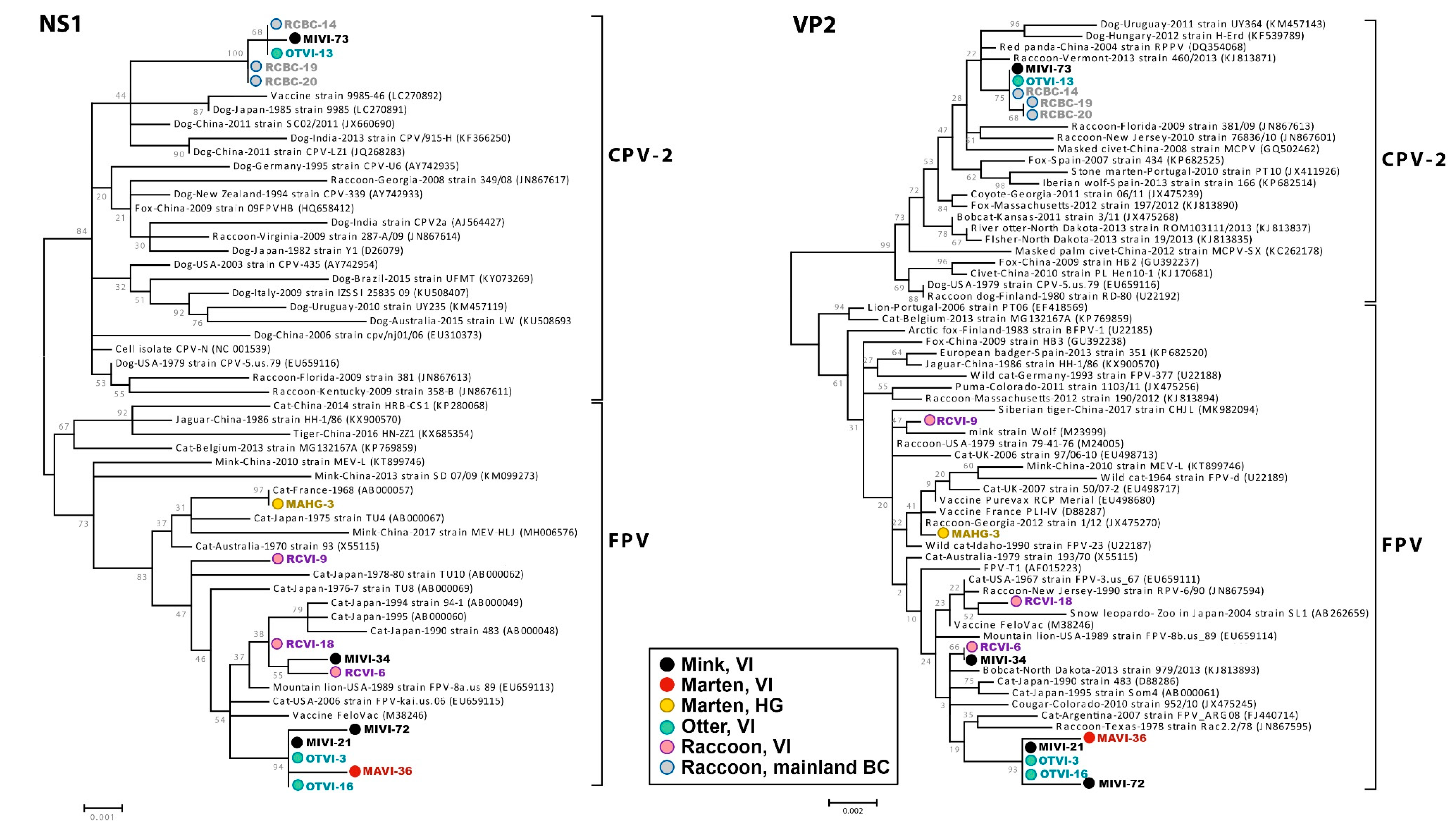 Pathogens 09 00124 g003 Pathogens 09 00124 g003