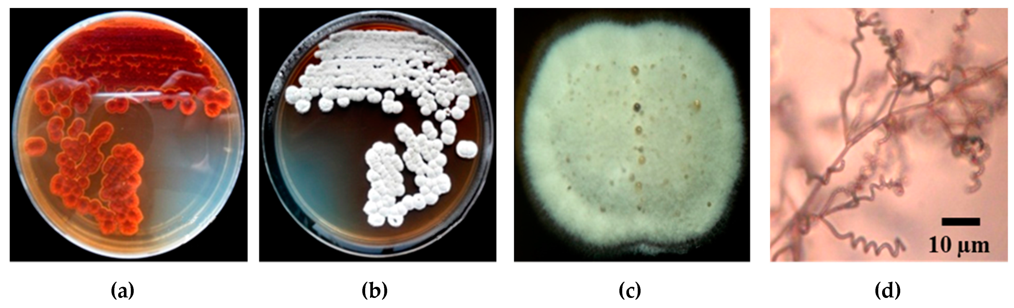 Pathogens 09 00126 g003 Pathogens 09 00126 g003