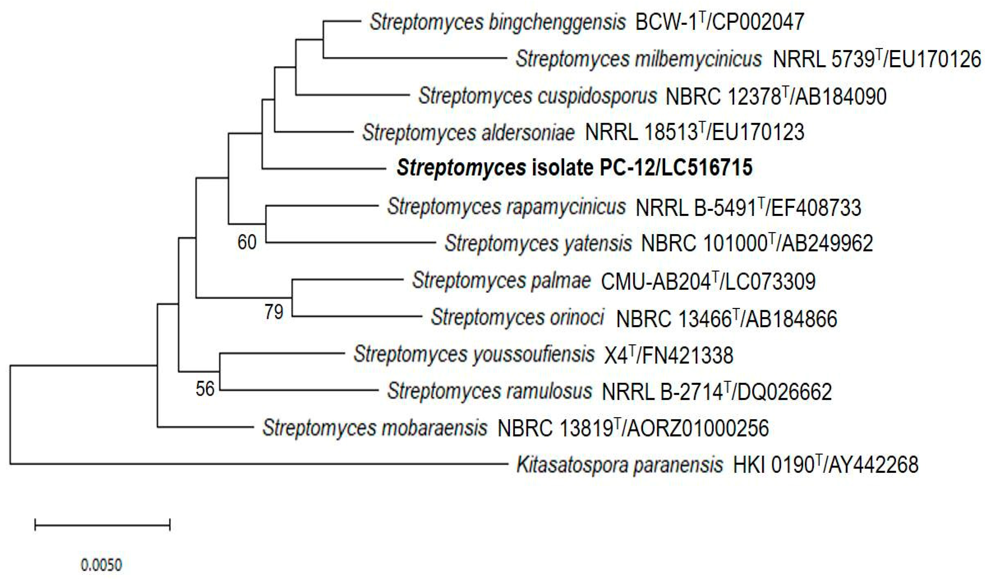Pathogens 09 00126 g005 Pathogens 09 00126 g005
