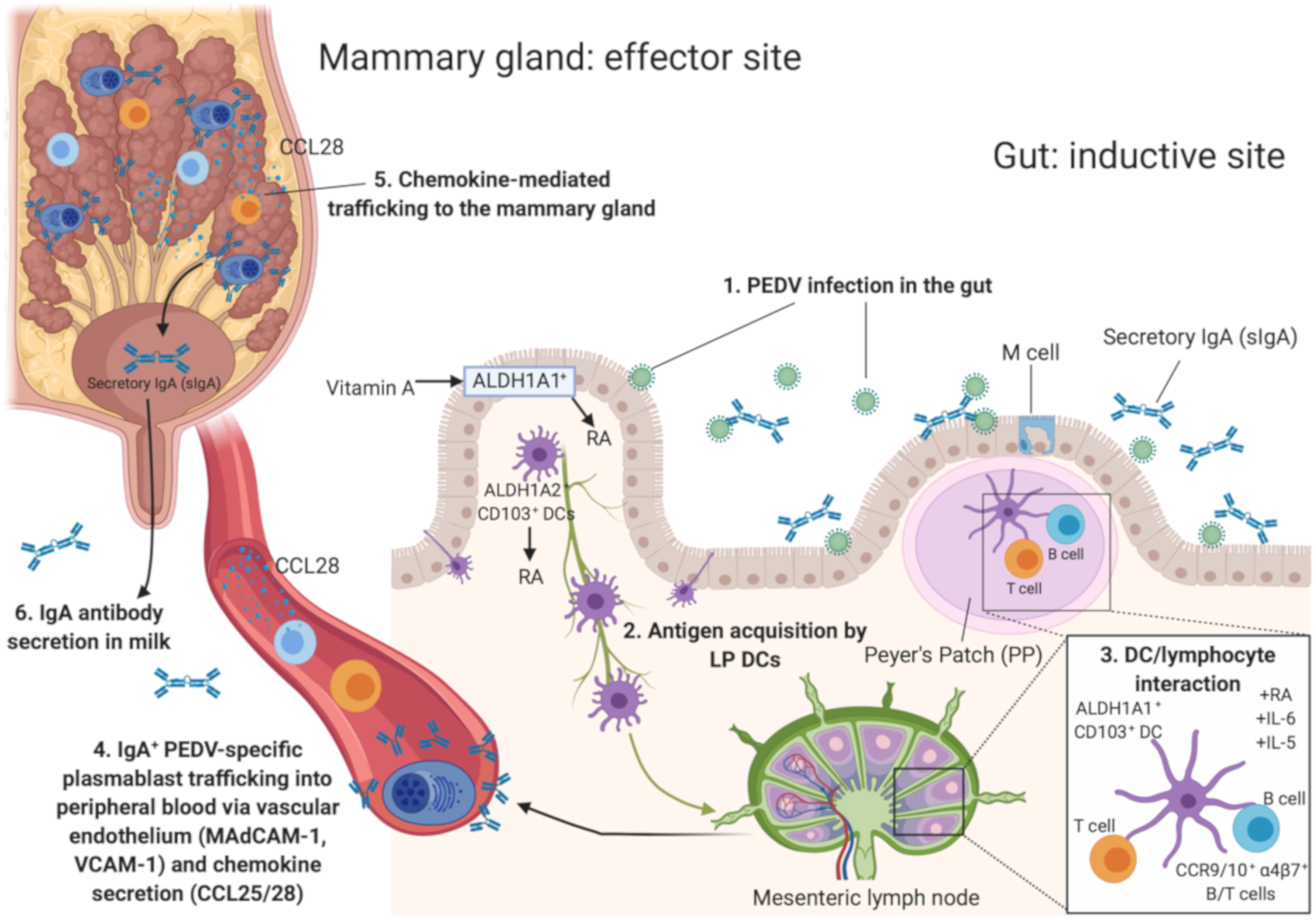 Pathogens 09 00130 g001 Pathogens 09 00130 g001