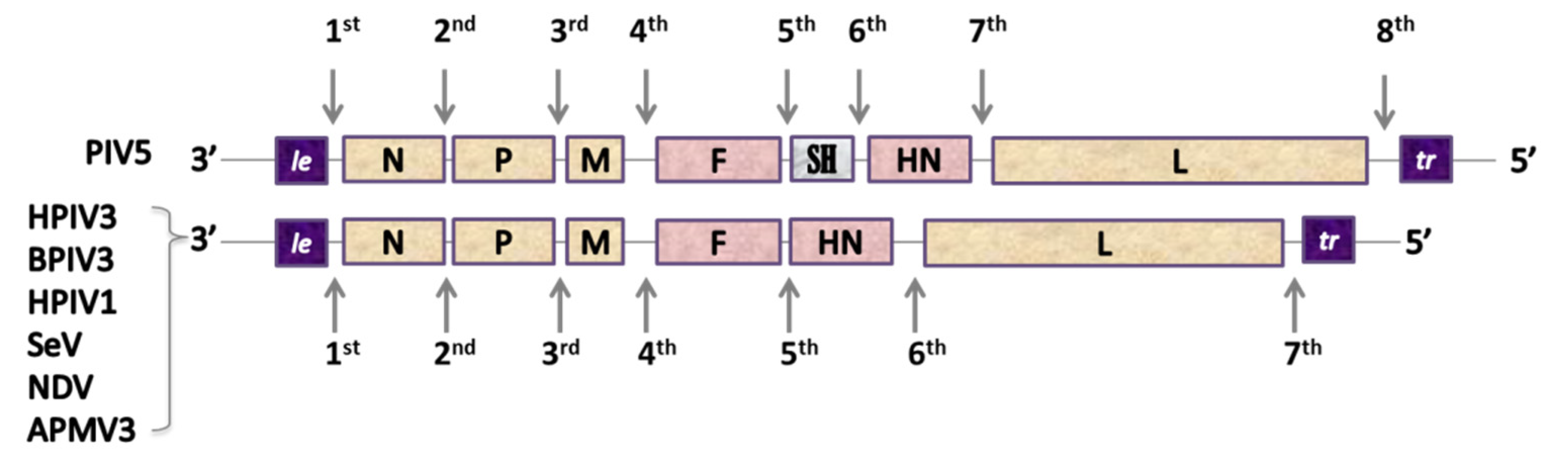 Pathogens 09 00135 g003 Pathogens 09 00135 g003