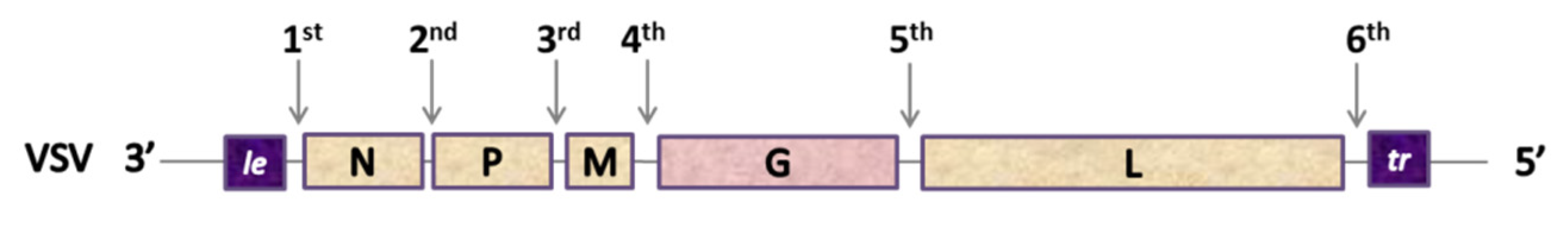 Pathogens 09 00135 g005 Pathogens 09 00135 g005