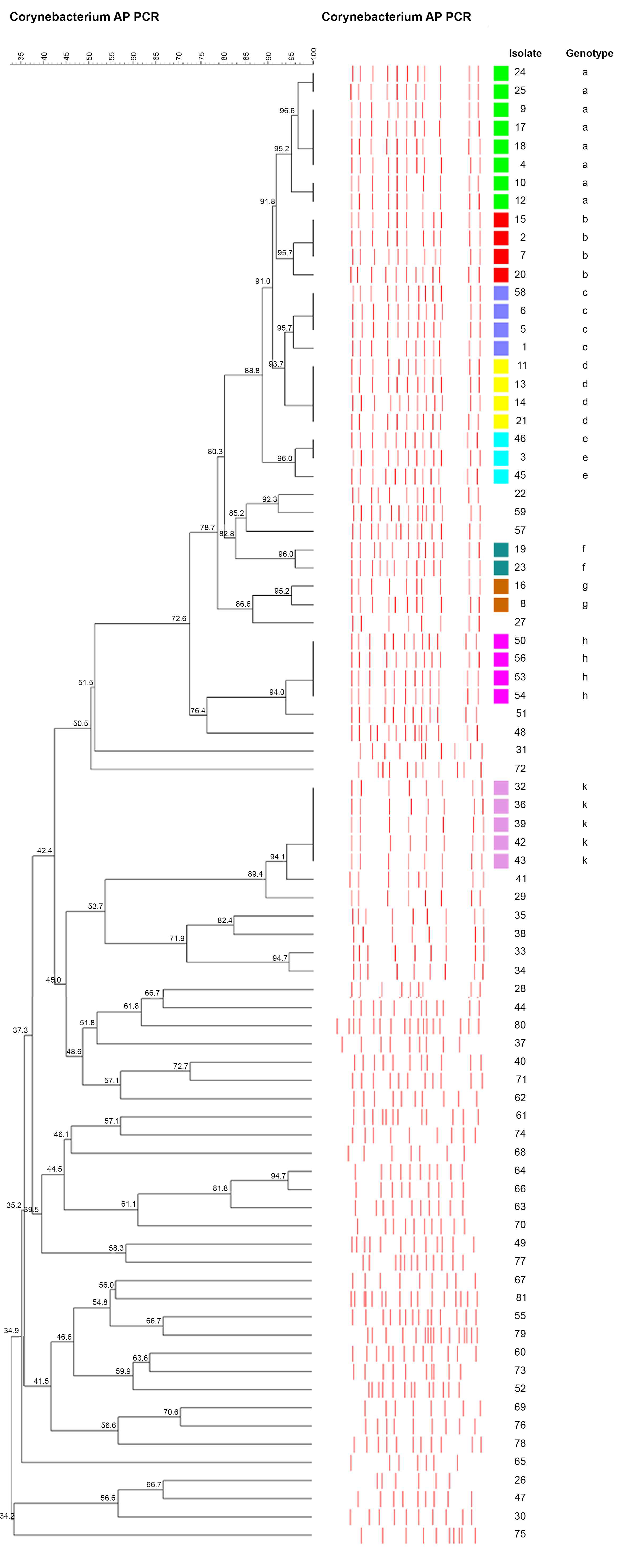 Pathogens 09 00136 g001