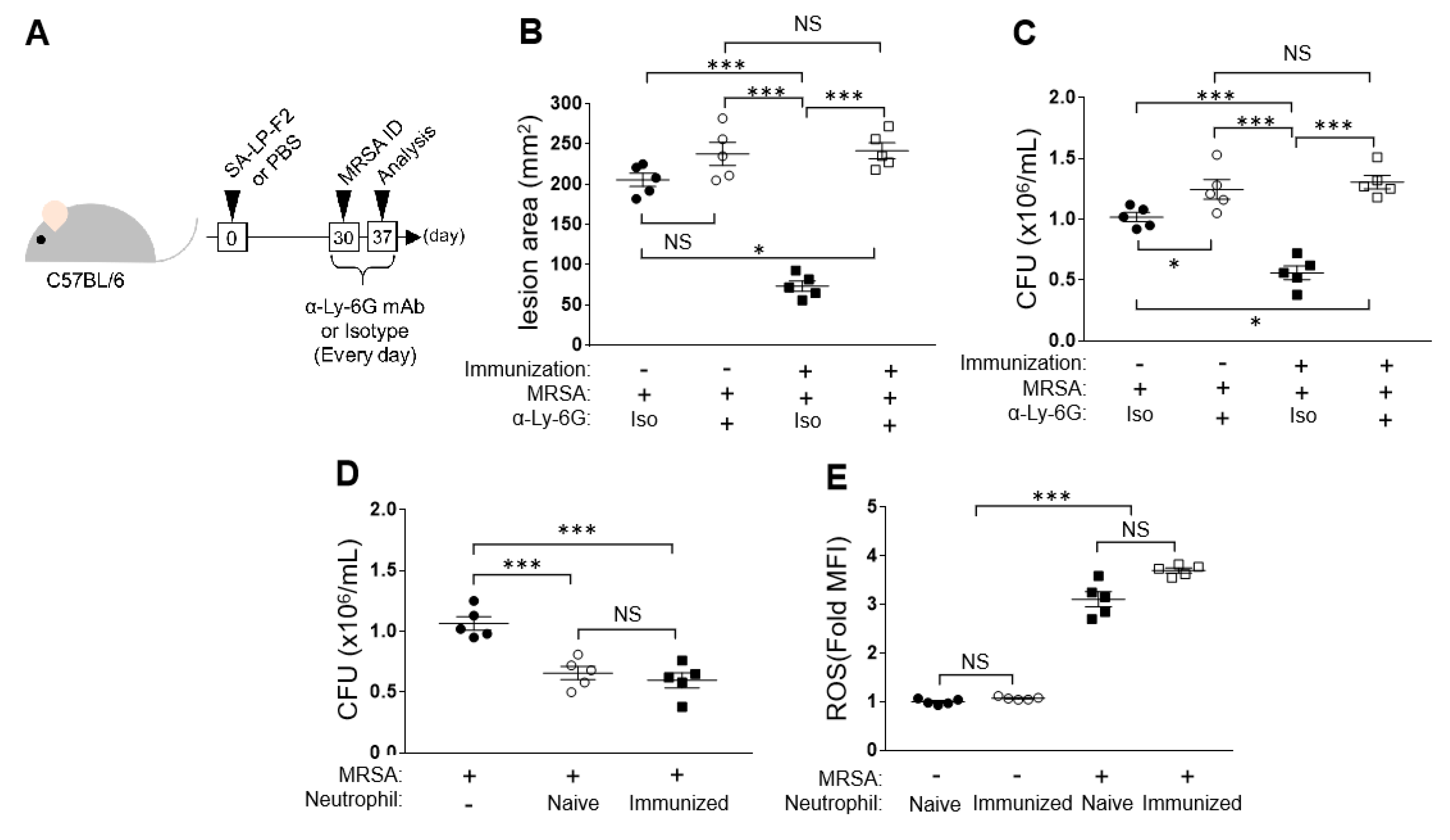 Pathogens 09 00138 g005
