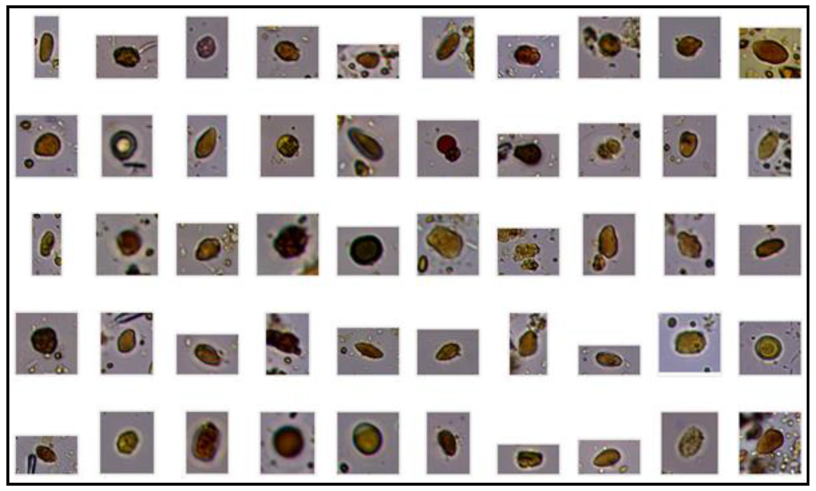 Pathogens 09 00139 g004