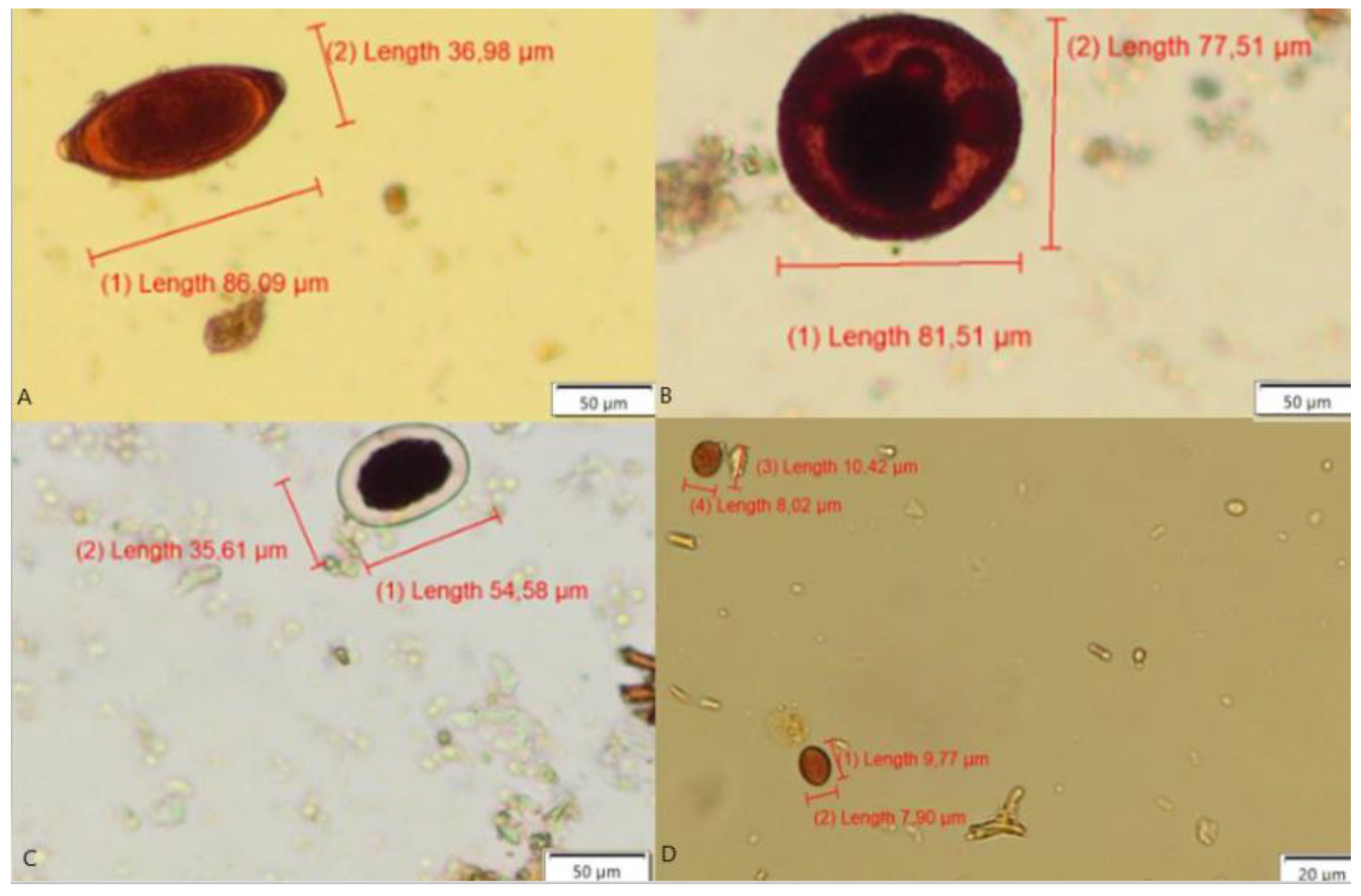 Pathogens 09 00139 g006
