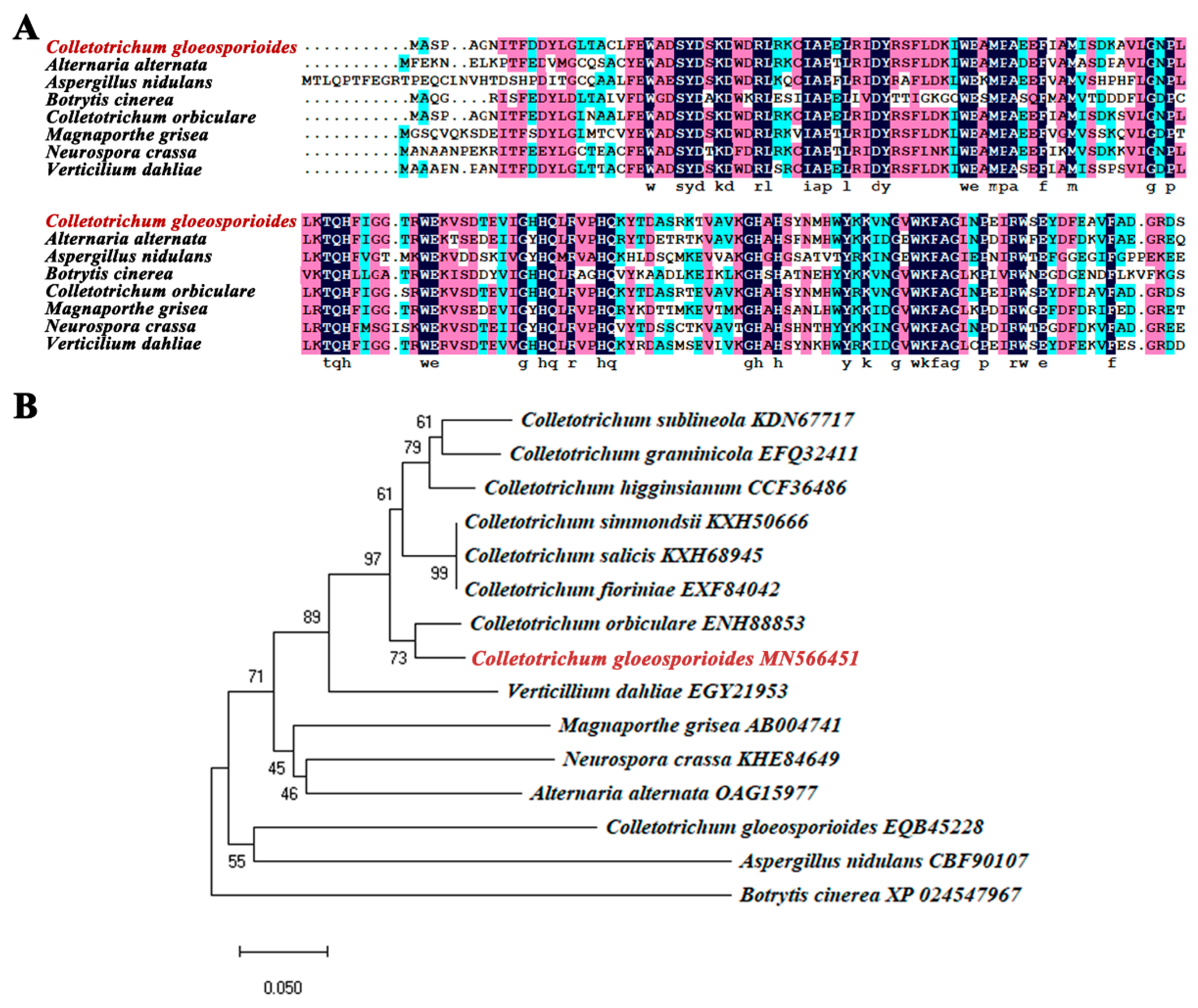 Pathogens 09 00141 g001