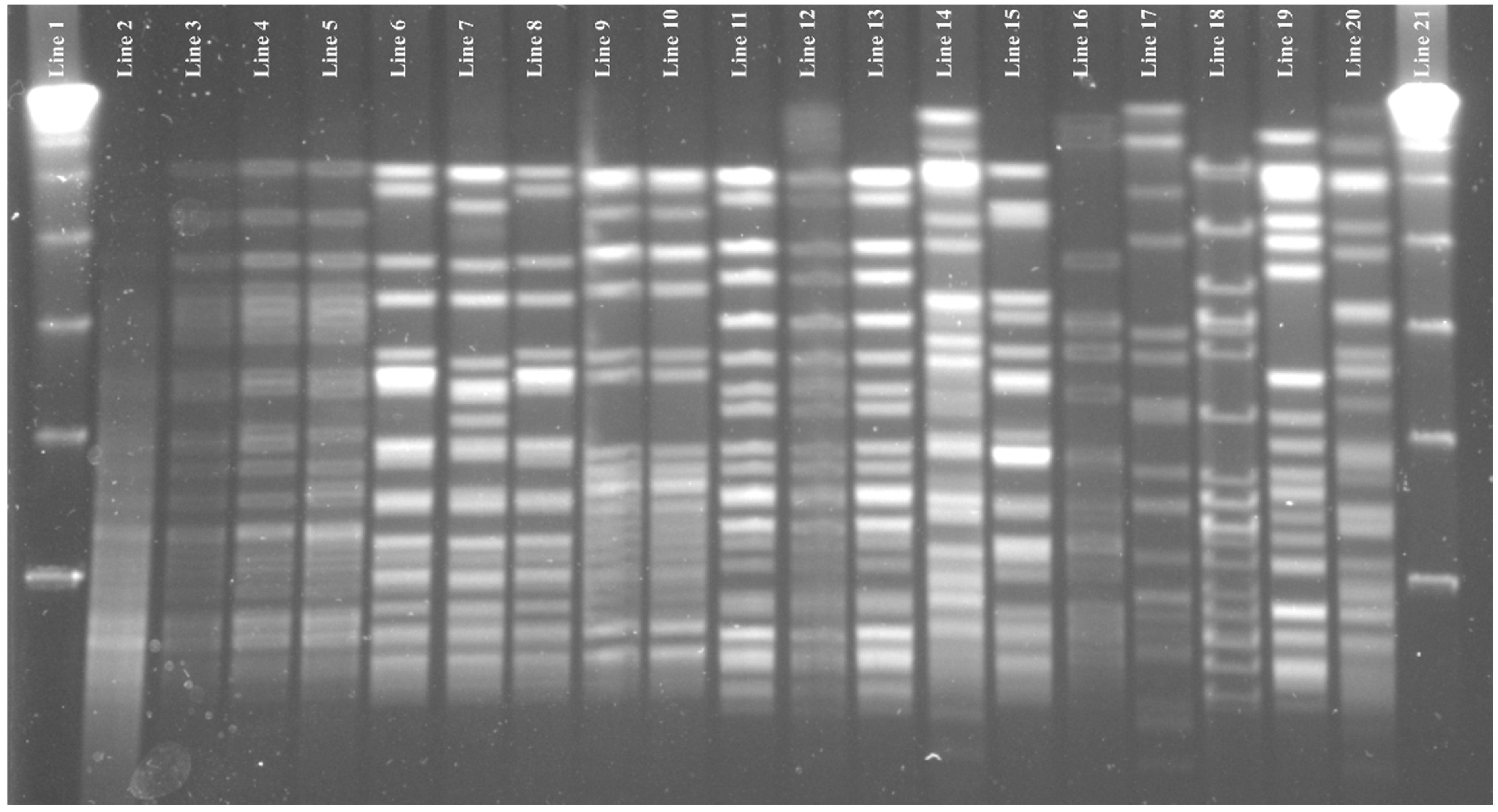 Pathogens 09 00142 g002