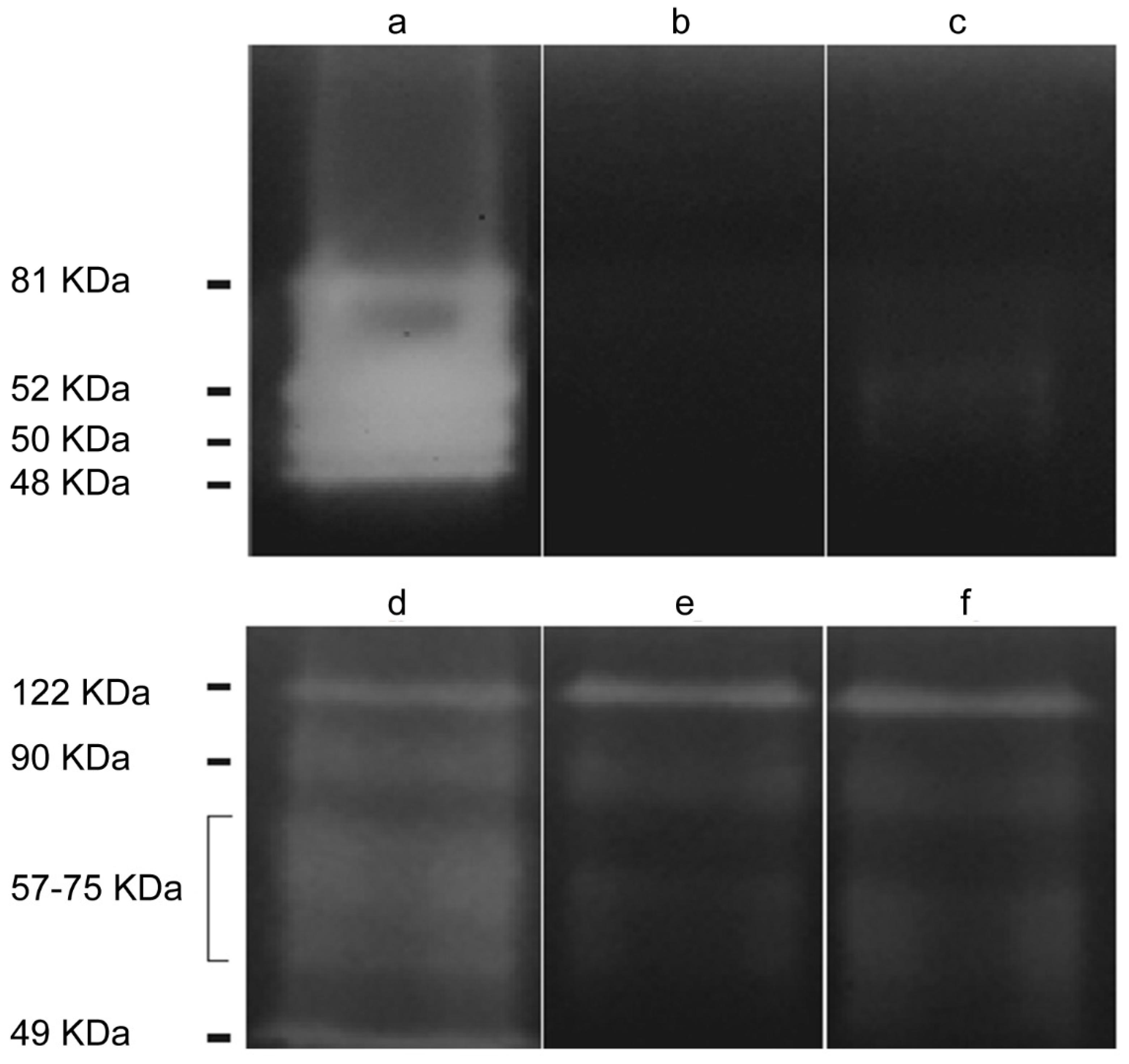 Pathogens 09 00144 g001 Pathogens 09 00144 g001