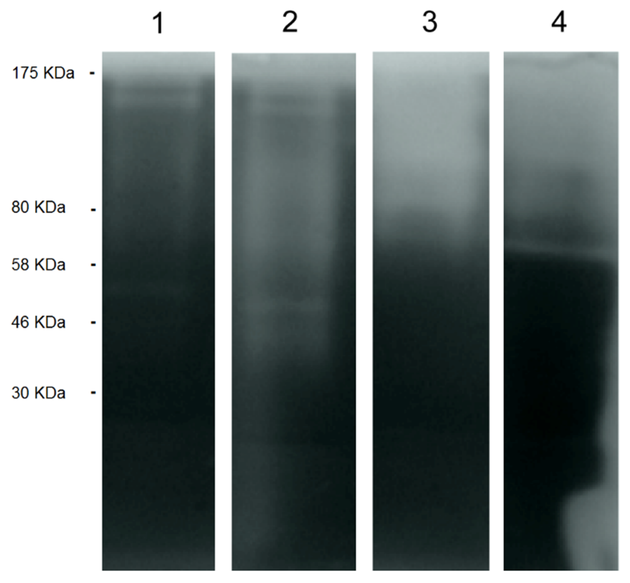 Pathogens 09 00144 g005 Pathogens 09 00144 g005