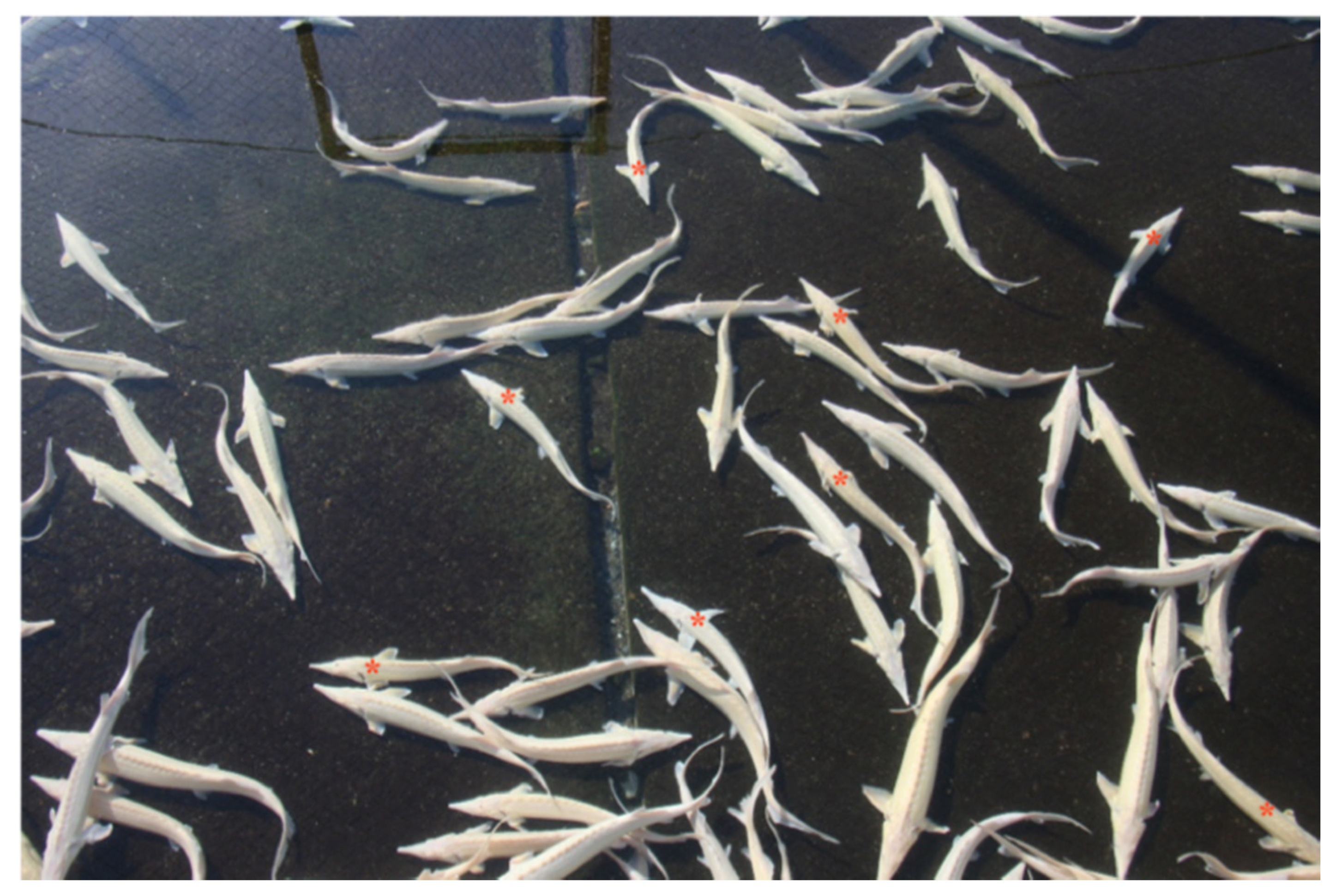 Pathogens 09 00156 g002 Pathogens 09 00156 g002