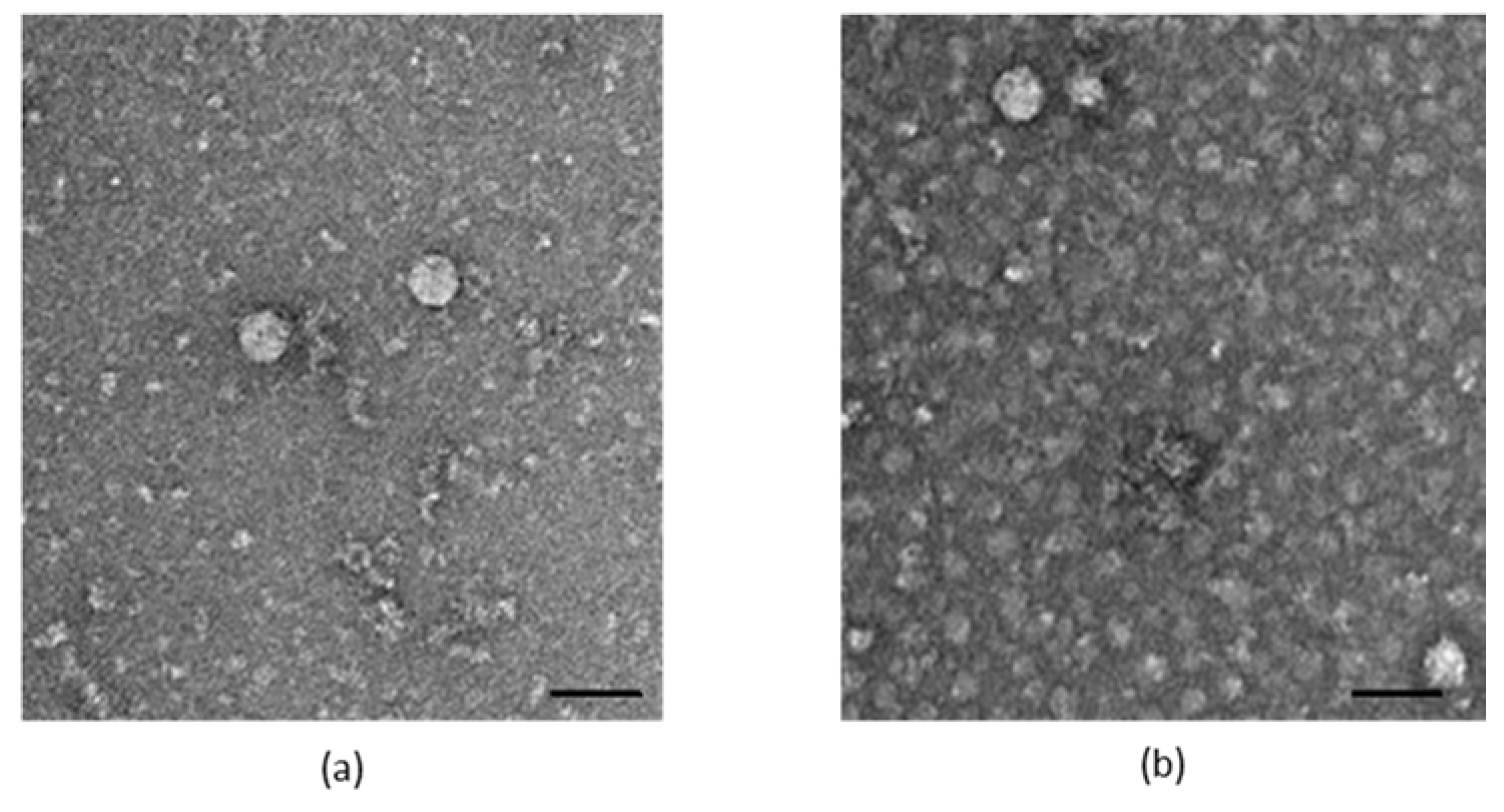 Pathogens 09 00157 g003