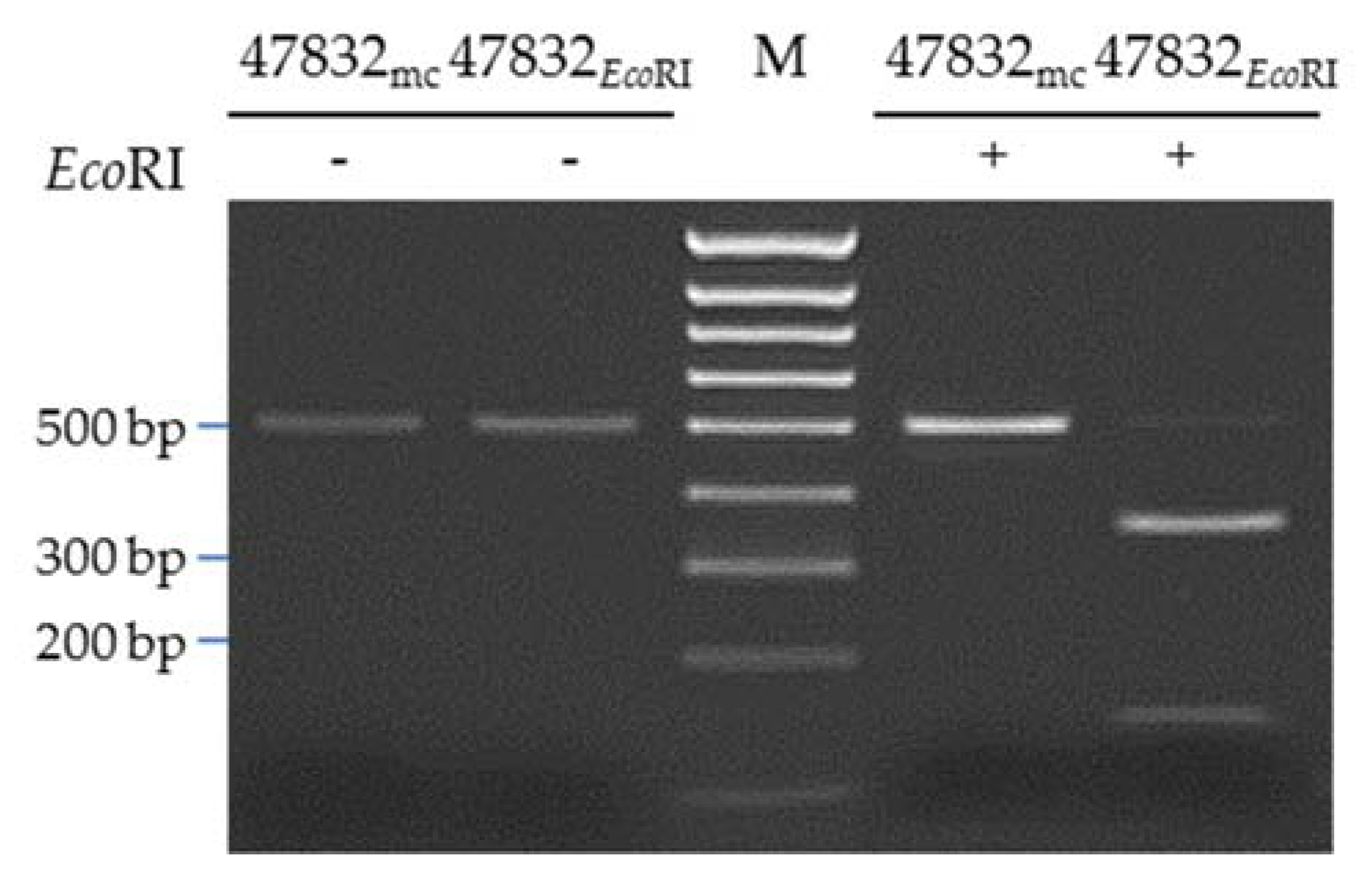Pathogens 09 00157 g007