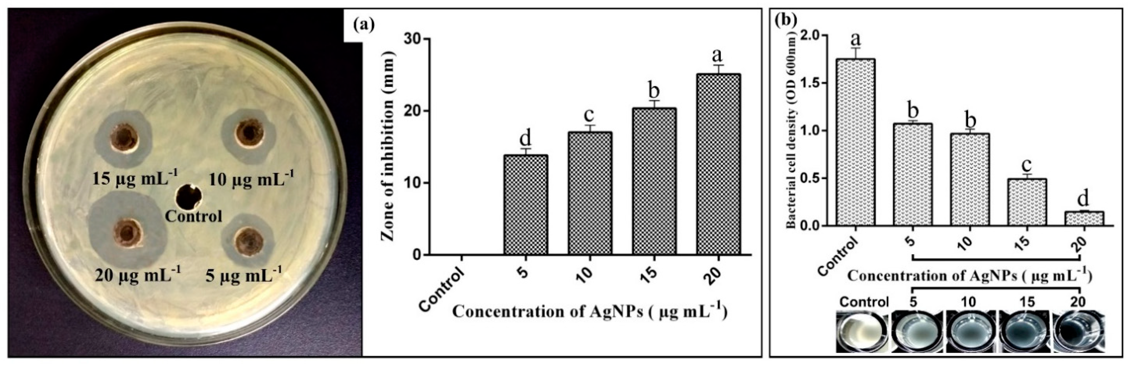 Pathogens 09 00160 g003 Pathogens 09 00160 g003