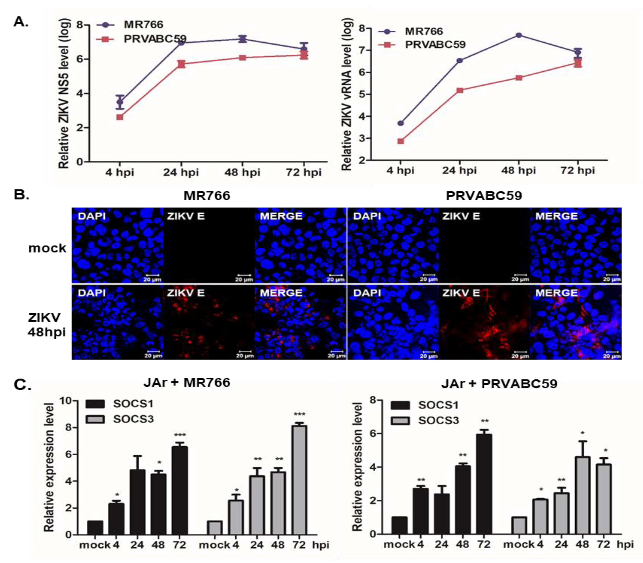 Pathogens 09 00163 g002 Pathogens 09 00163 g002