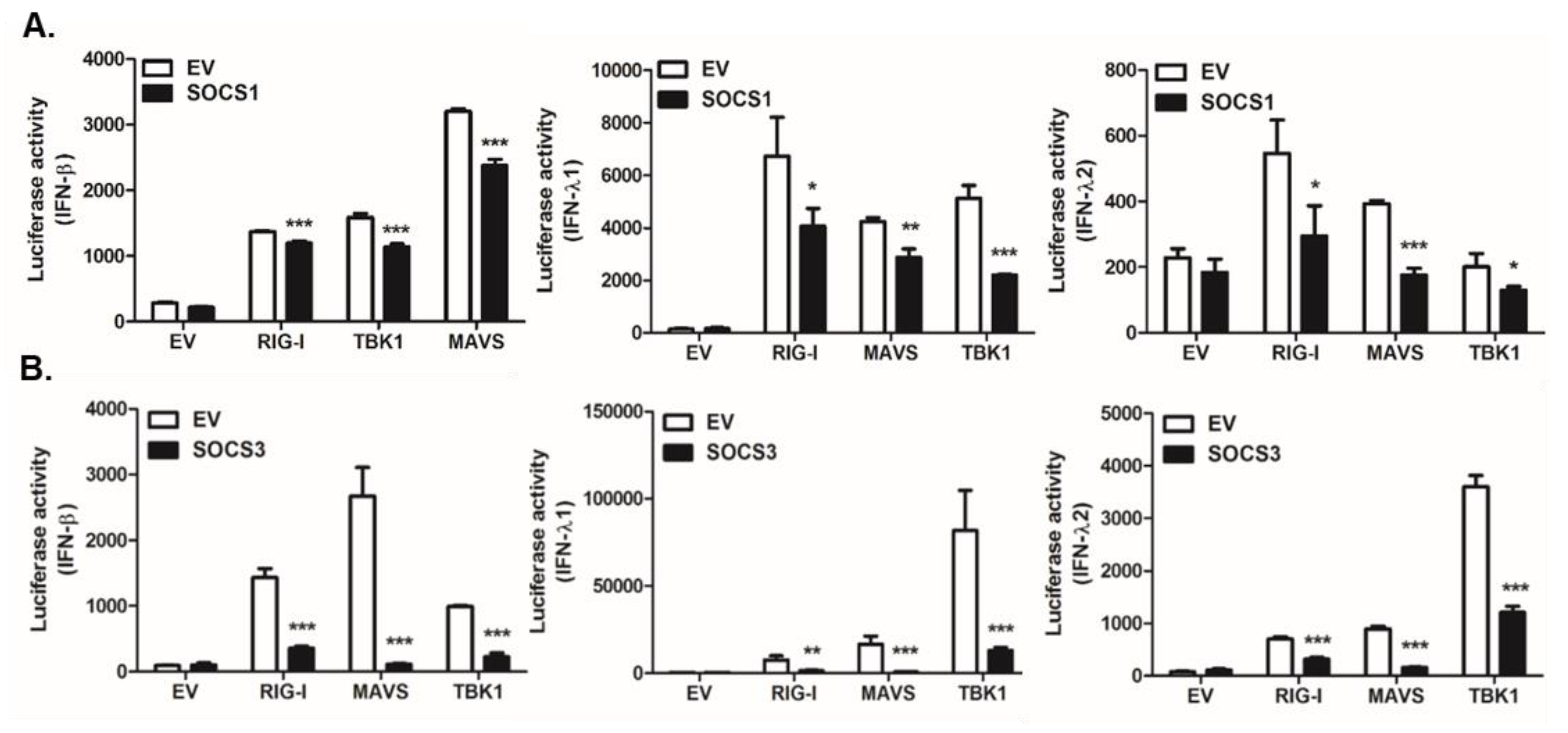 Pathogens 09 00163 g006 Pathogens 09 00163 g006