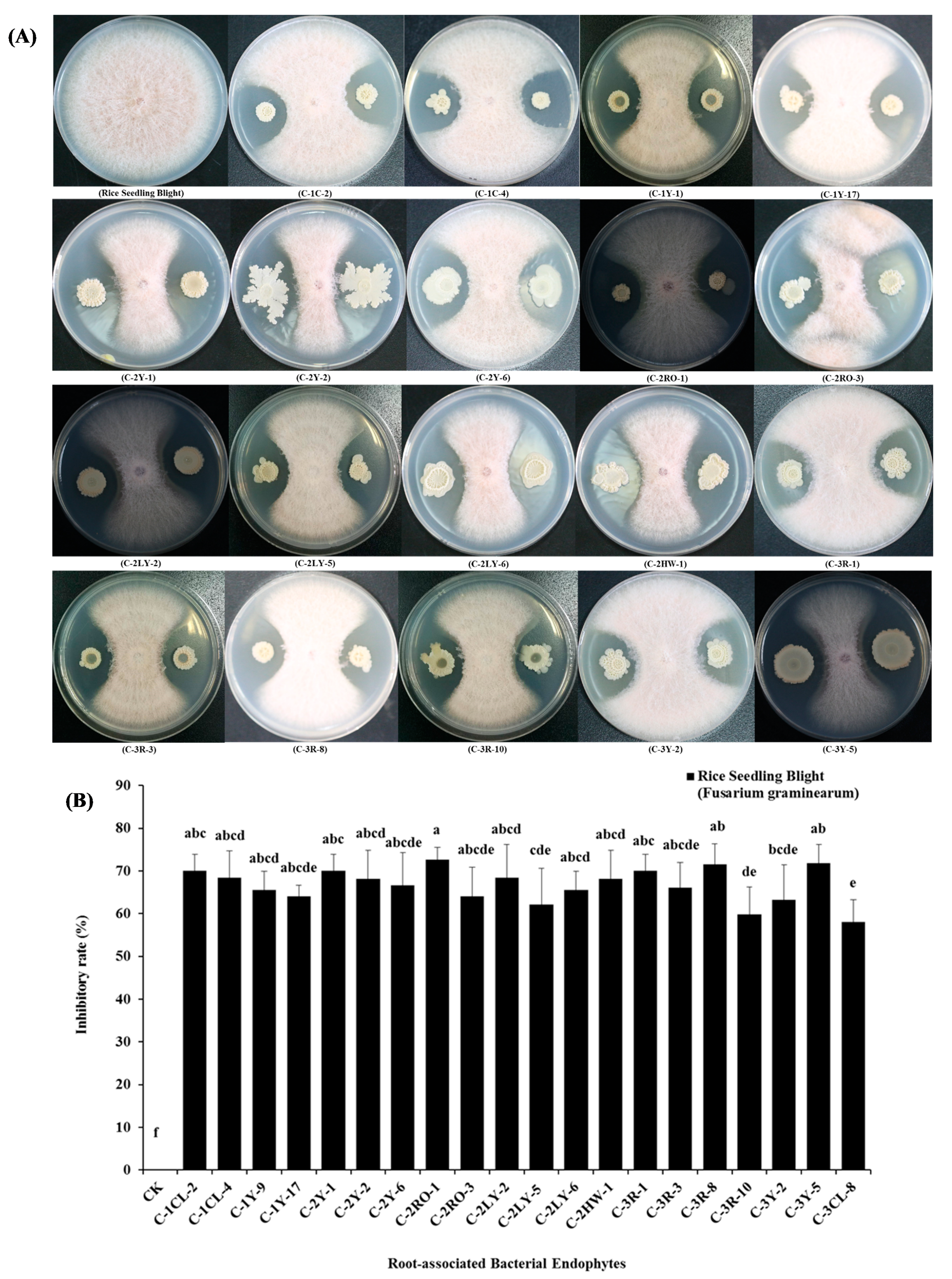 Pathogens 09 00172 g003