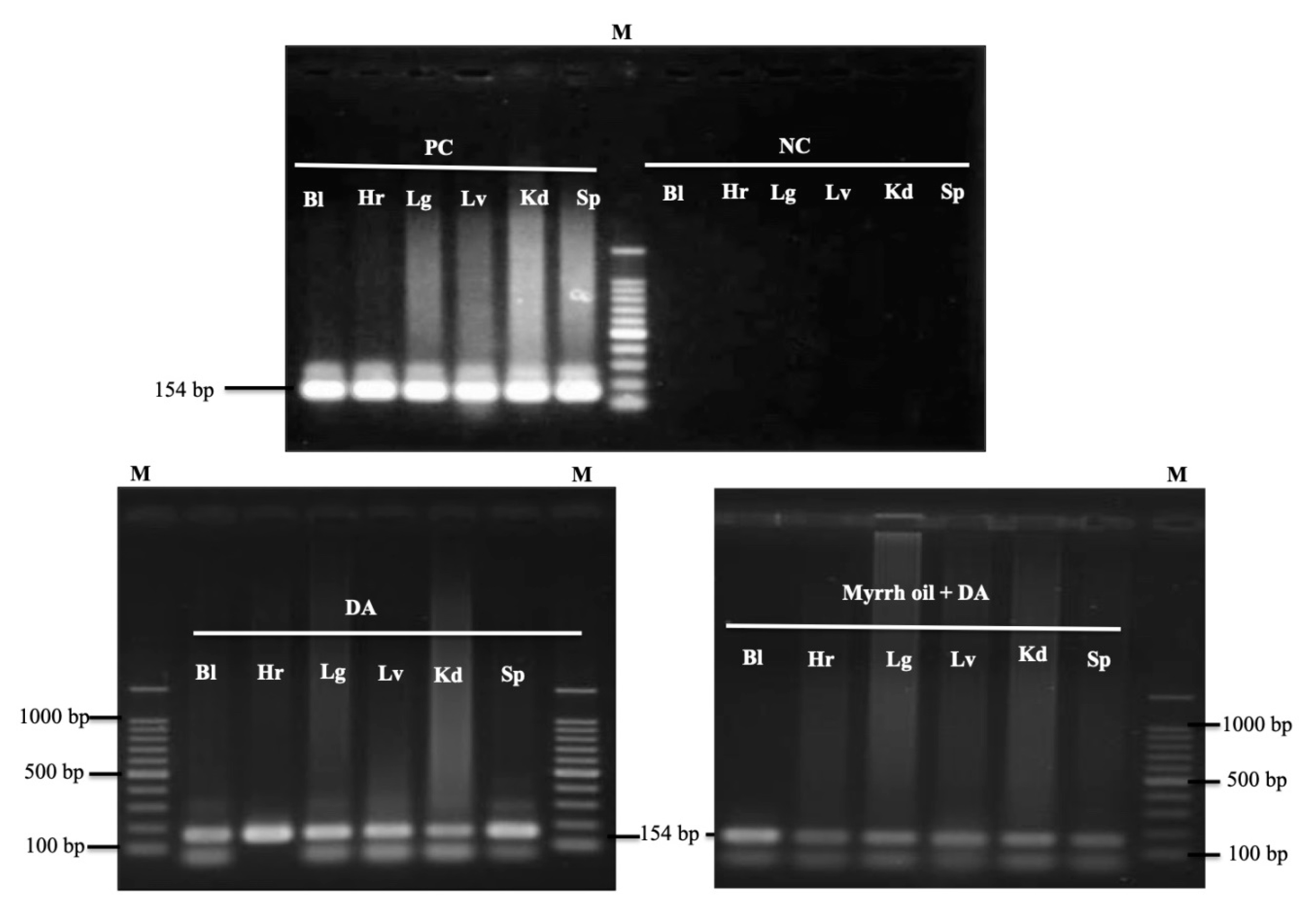 Pathogens 09 00173 g006 Pathogens 09 00173 g006