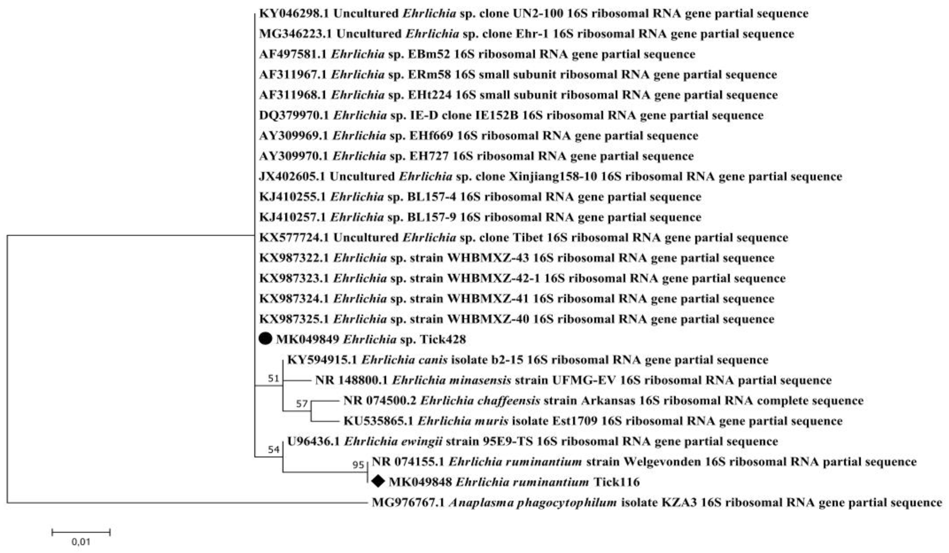 Pathogens 09 00176 g003 Pathogens 09 00176 g003
