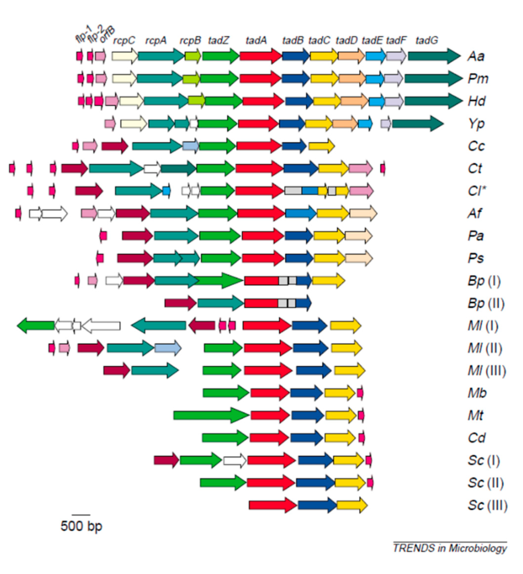 Pathogens 09 00179 g003