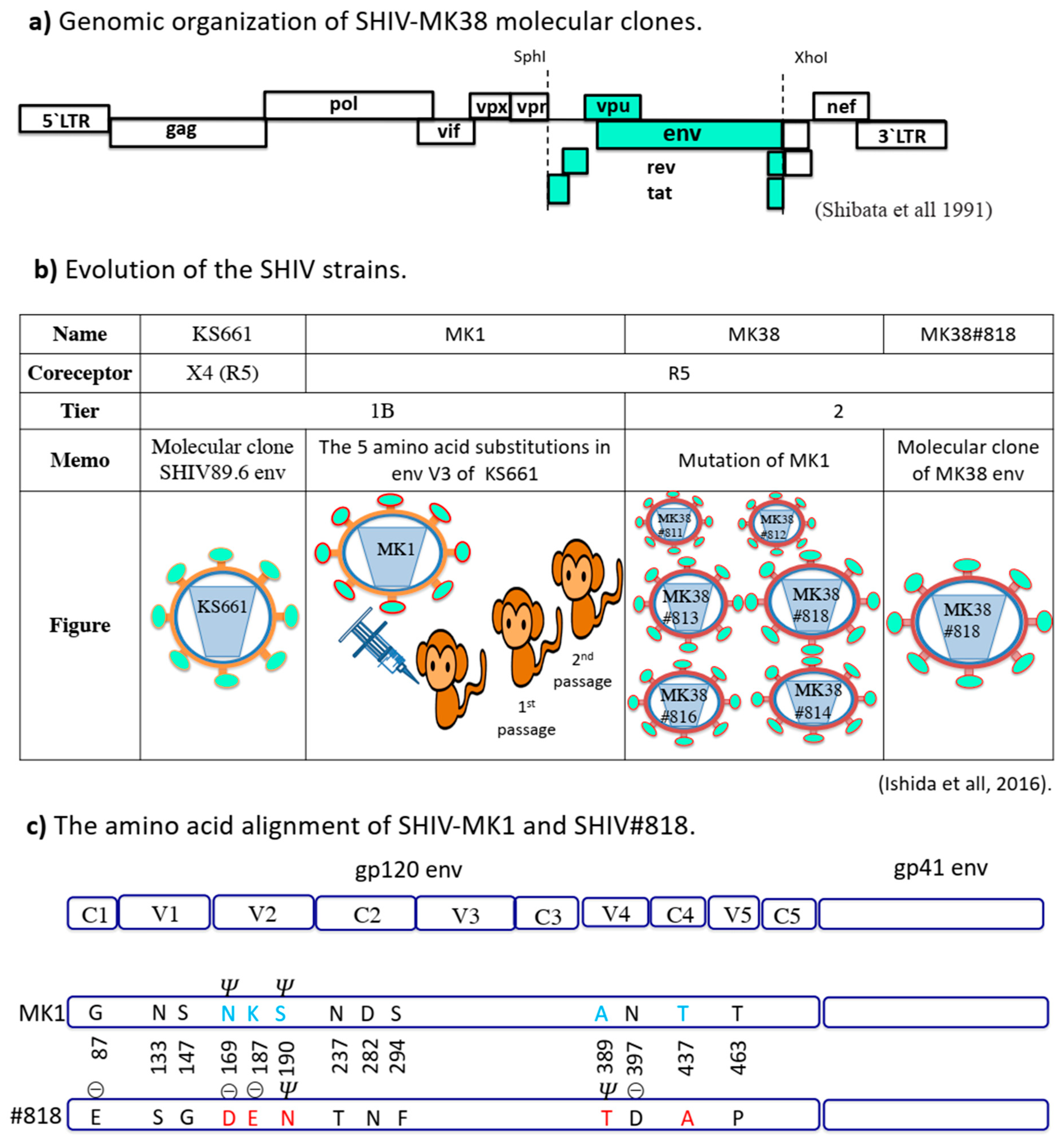 Pathogens Free Full Text Specific Substitutions In Region V2 Of Gp120 Env Confer Shiv Neutralisation Resistance Html