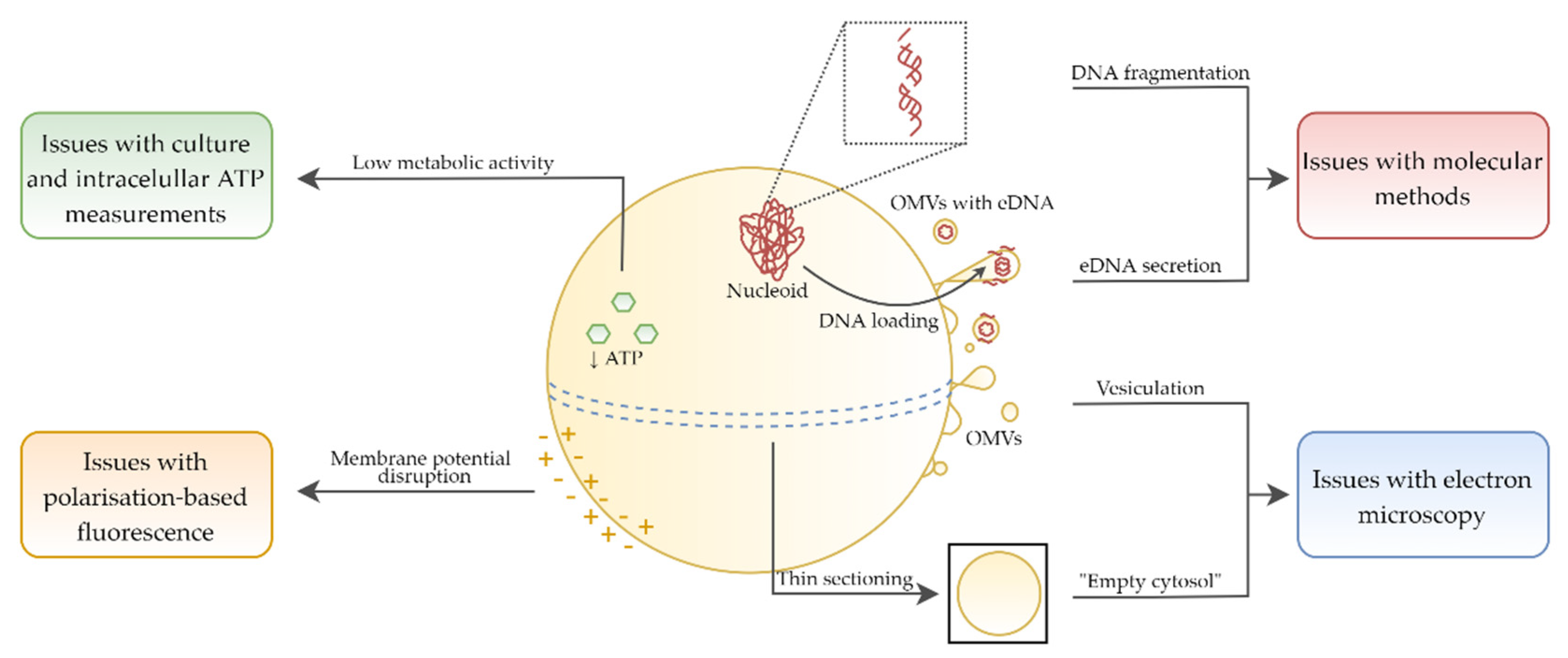 Pathogens 09 00184 g006