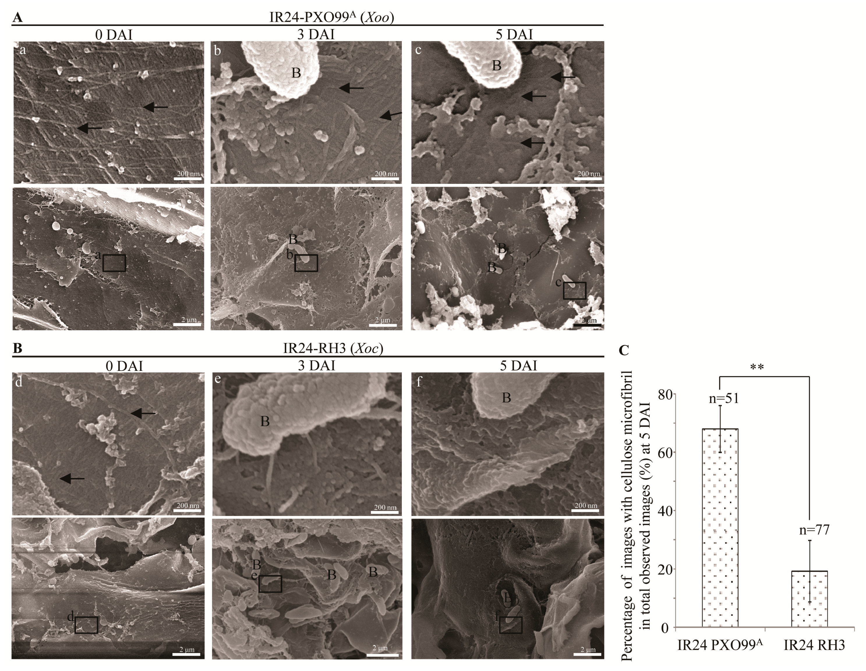 Pathogens 09 00187 g002 Pathogens 09 00187 g002
